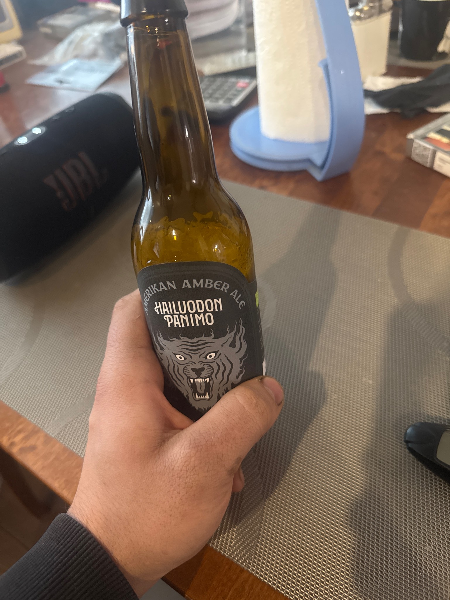 Silver Flames, Hailuodon Panimo