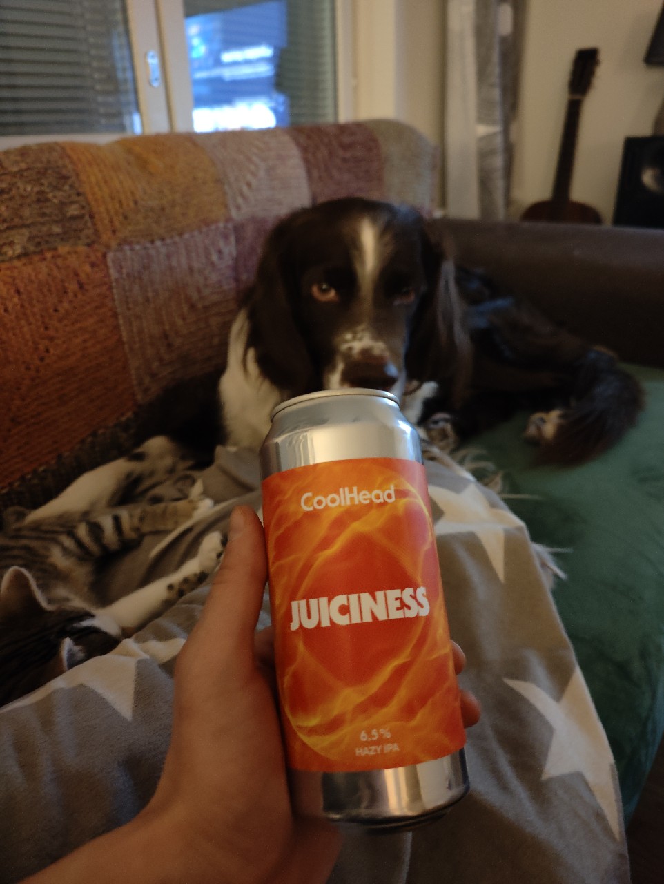 Juiciness 6.5%, Finland