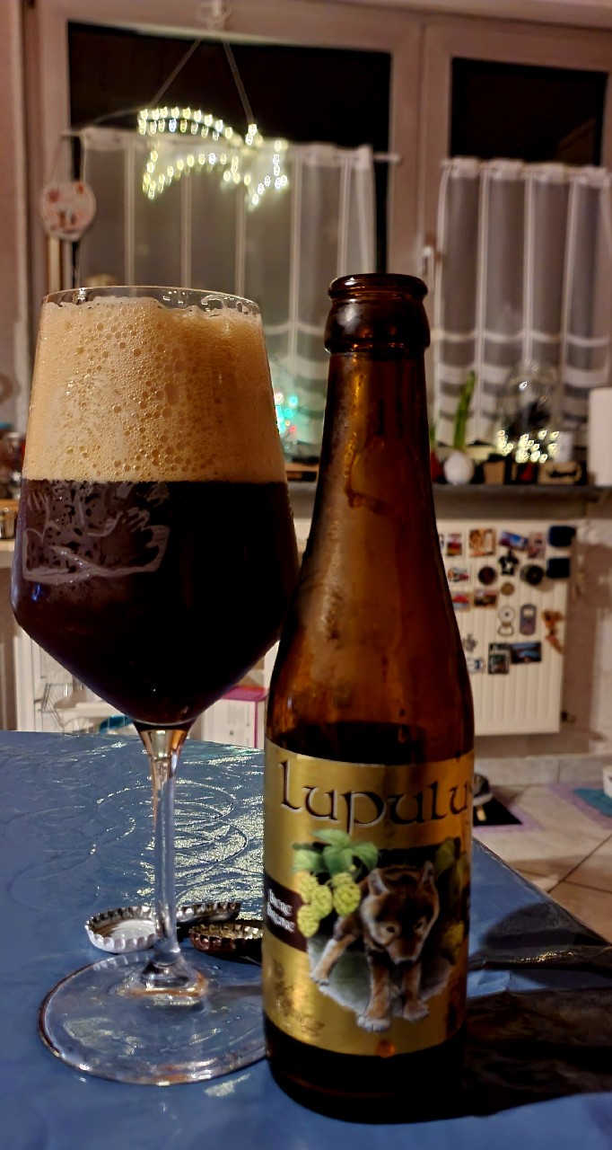 Lupulus Brune, Belgium