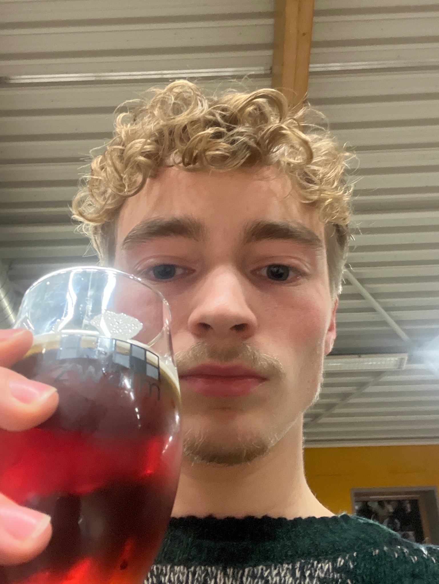 Adriaen Brouwer Audenaerds Bruyn, Belgium