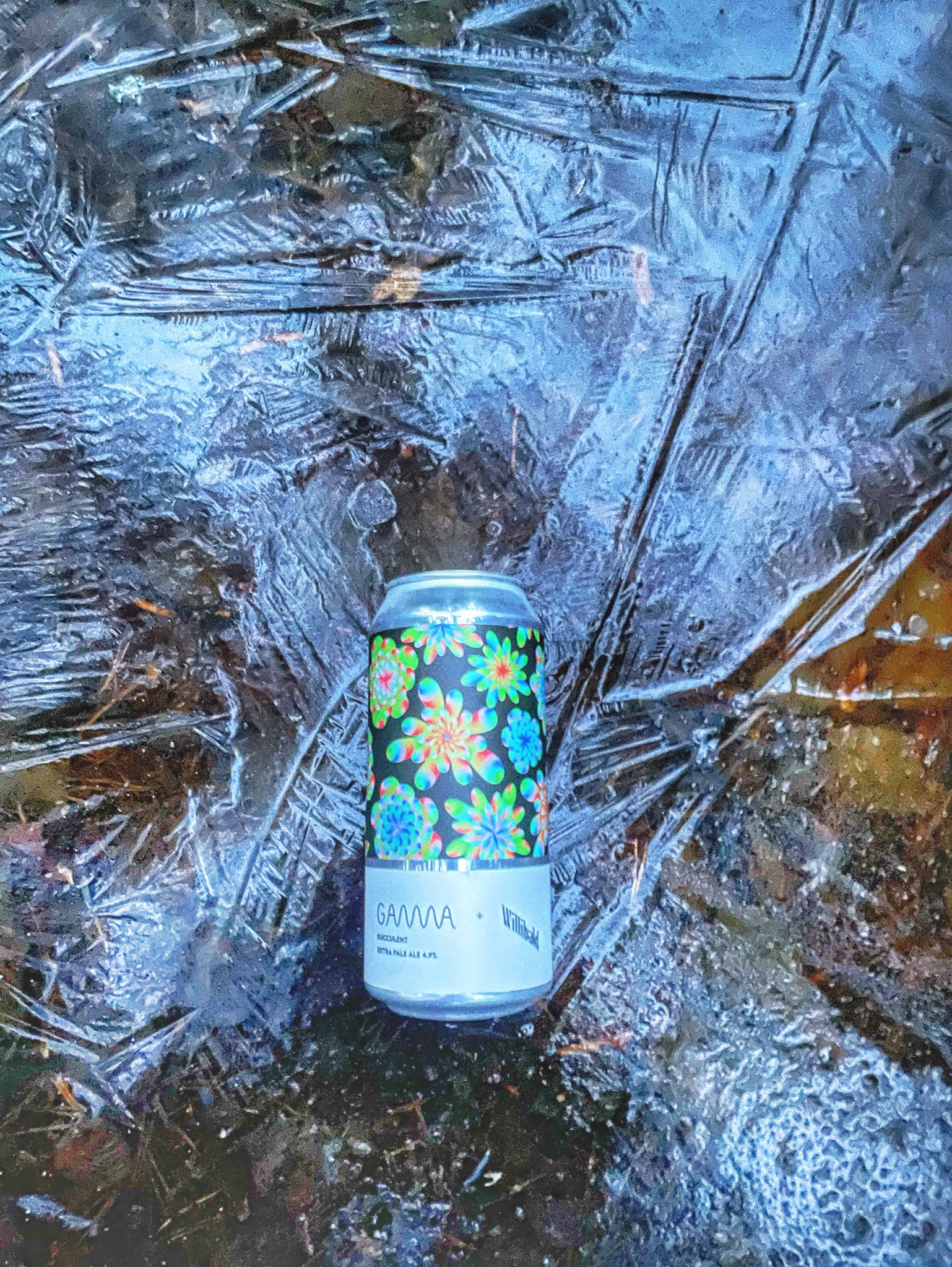 Succulent, Gamma Brewing Company