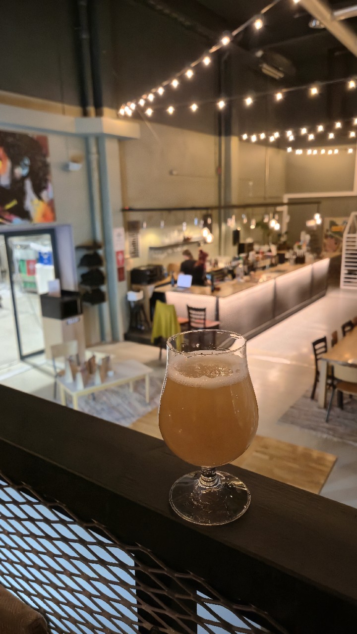 Multiverse, Elmeleven