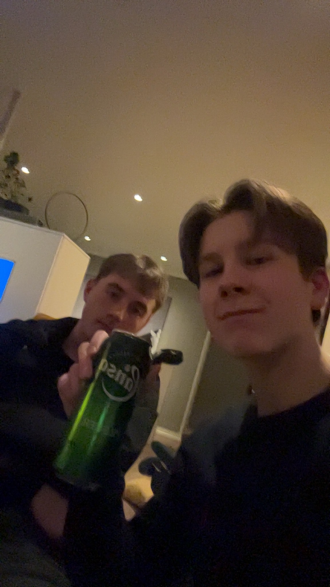 Hansa Pilsner, Hansa Borg Bryggerier (Royal Unibrew)