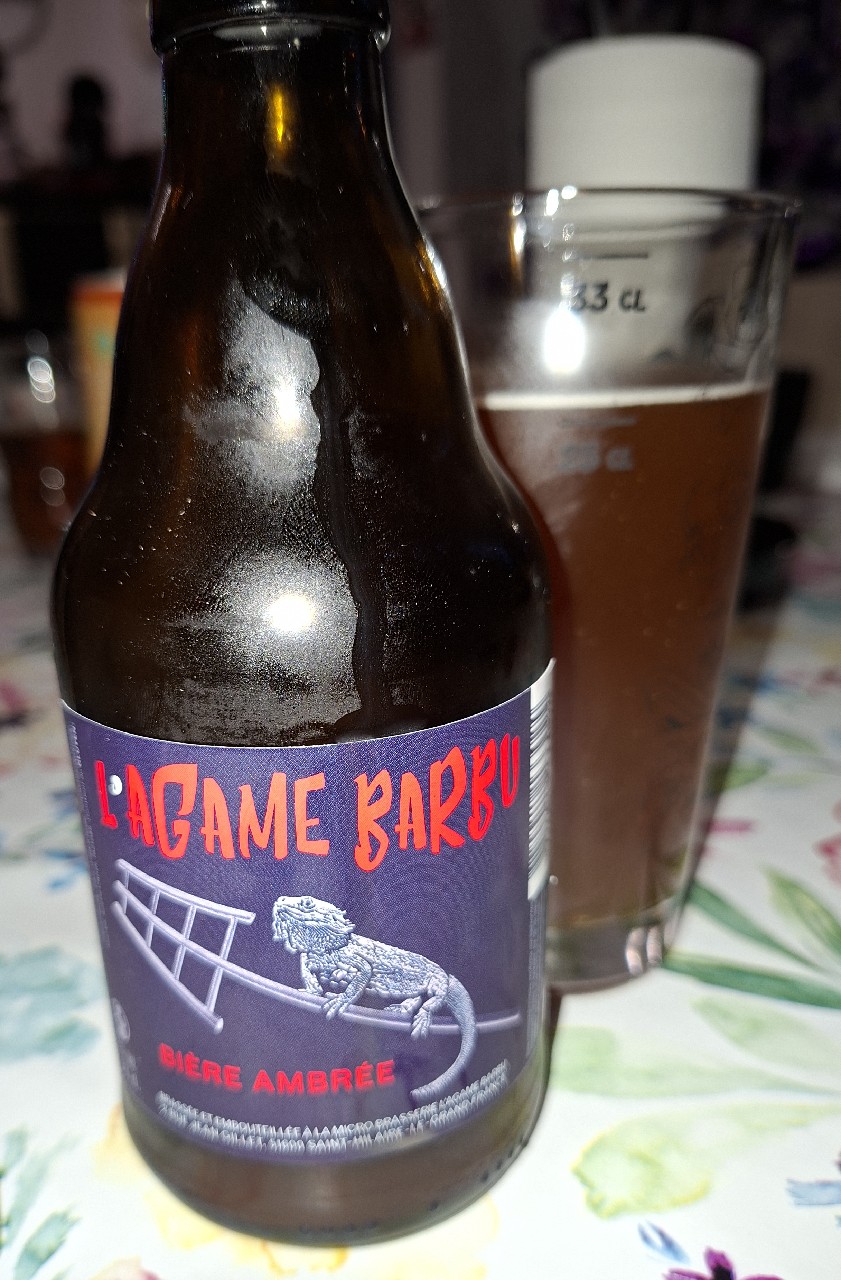 L'Agame Barbu Ambrée, France