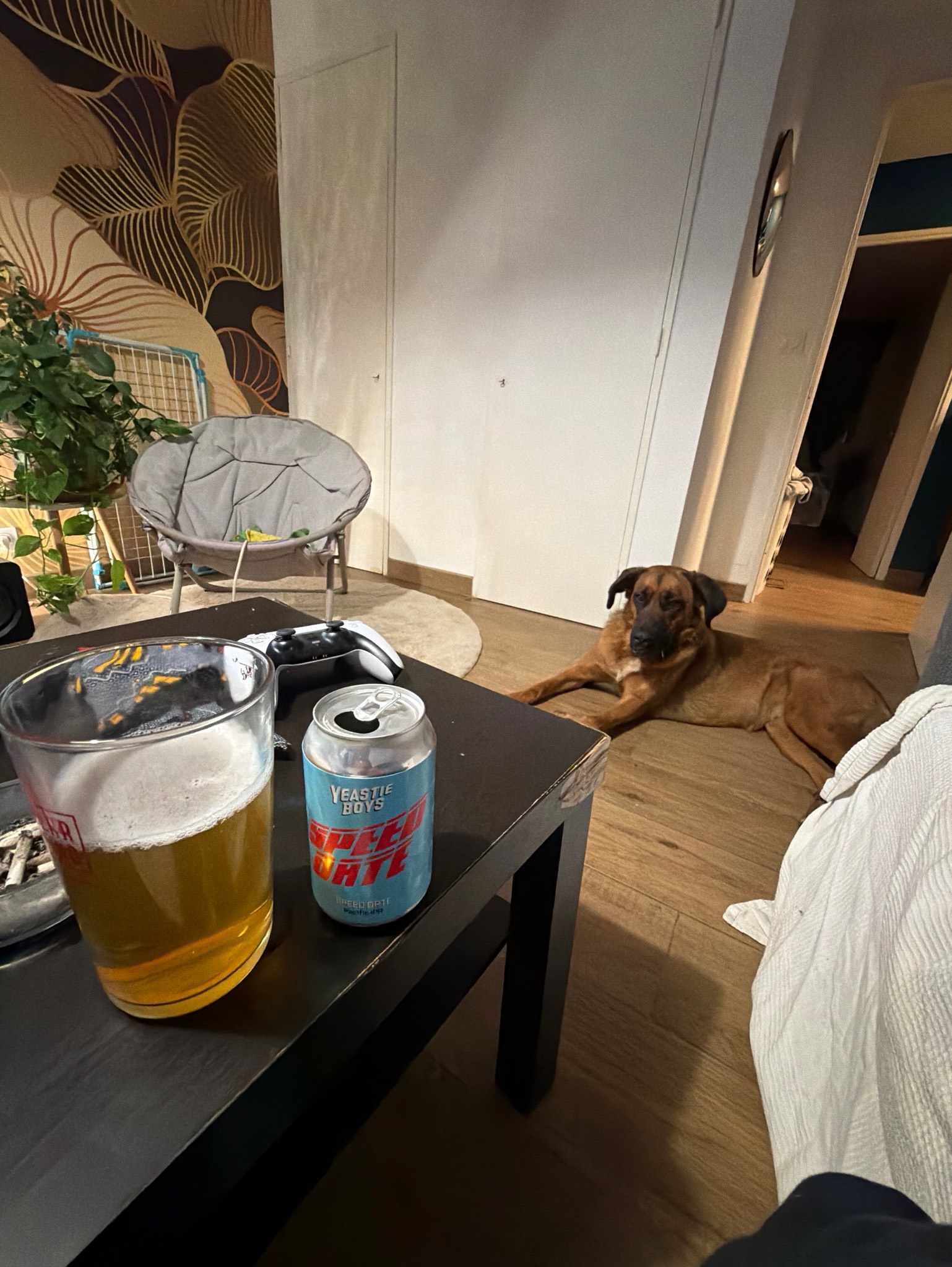 Speed Date, New Zealand