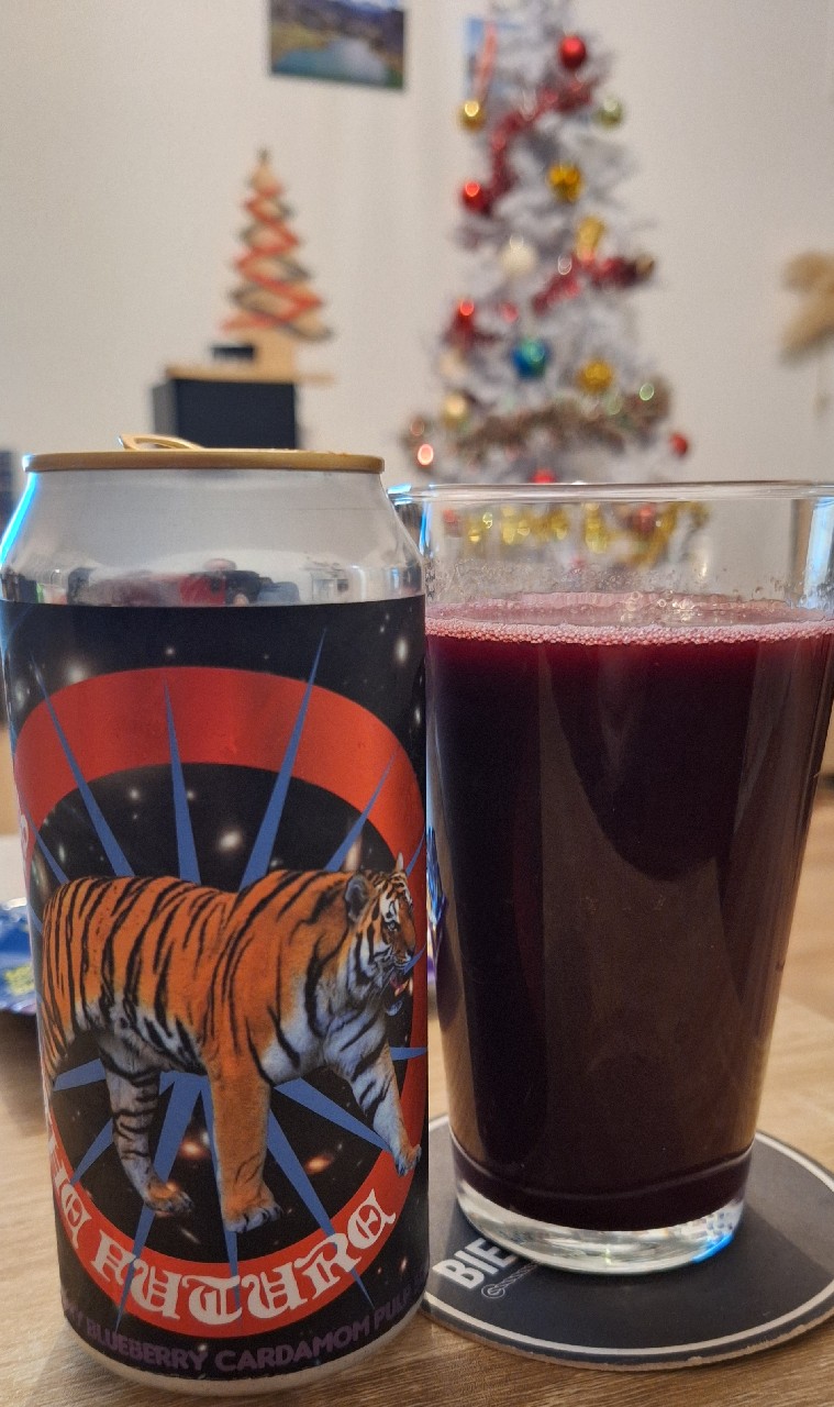 Shape The Future, Sweden