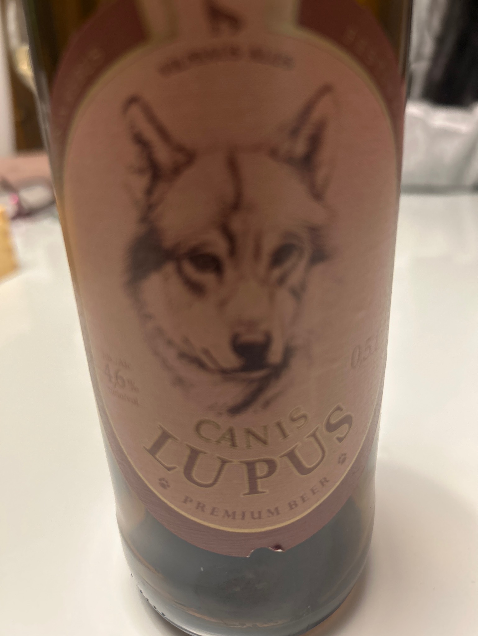 Canis Lupus, Vilniaus Alus