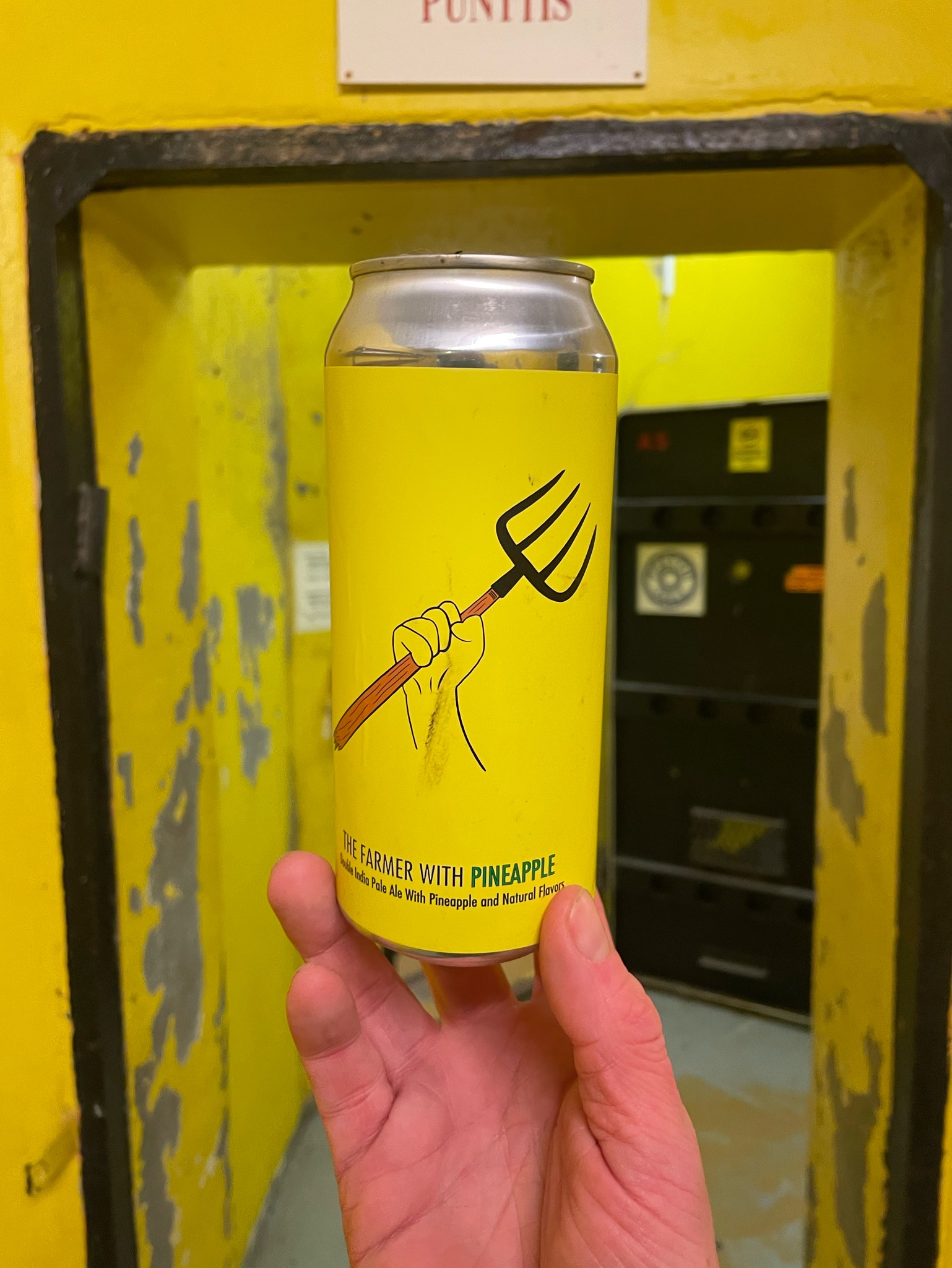 The Farmer With Pineapple, Fidens Brewing Co.