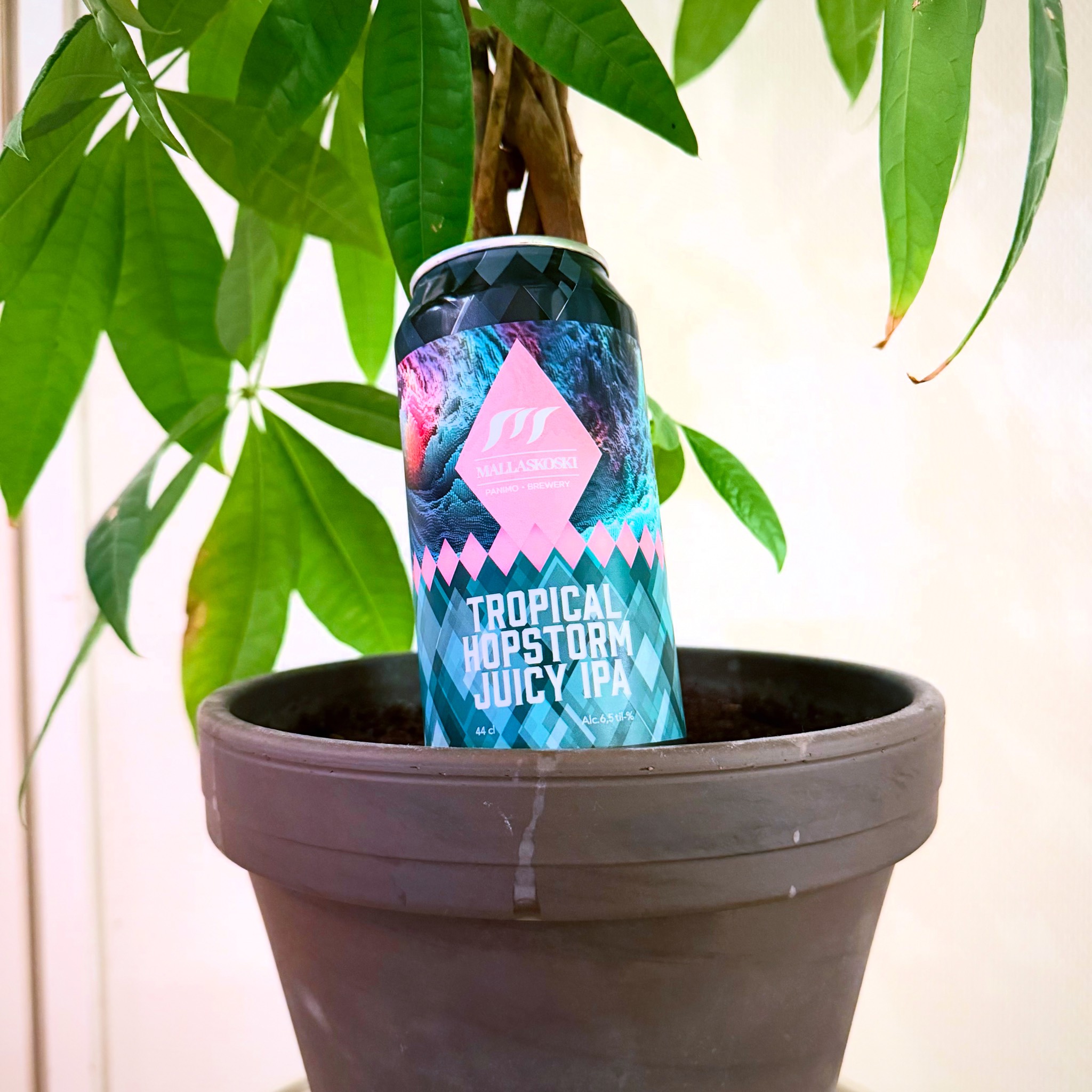 Tropical Hopstorm, Mallaskosken Panimo