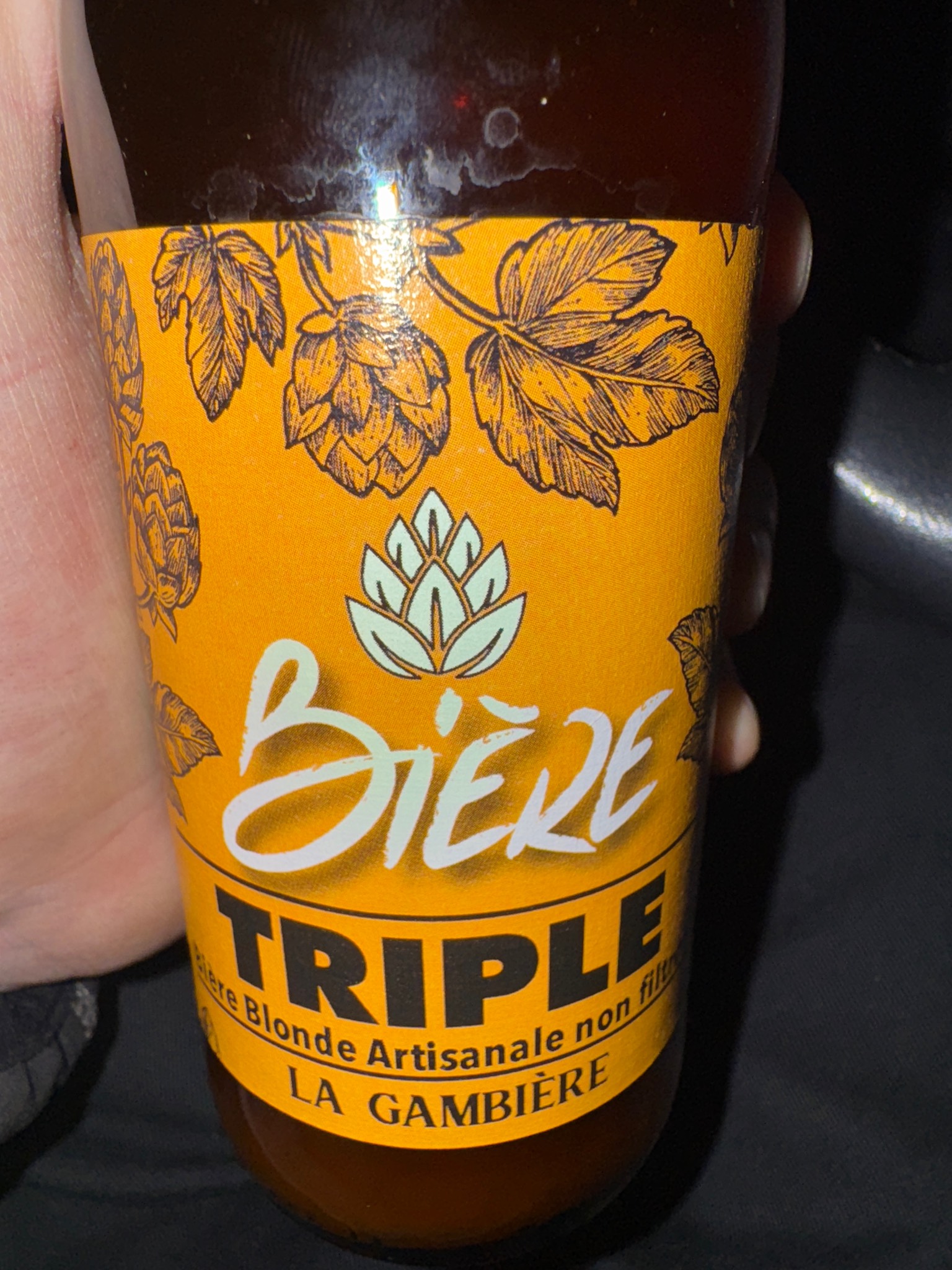 La Gambière Triple, France