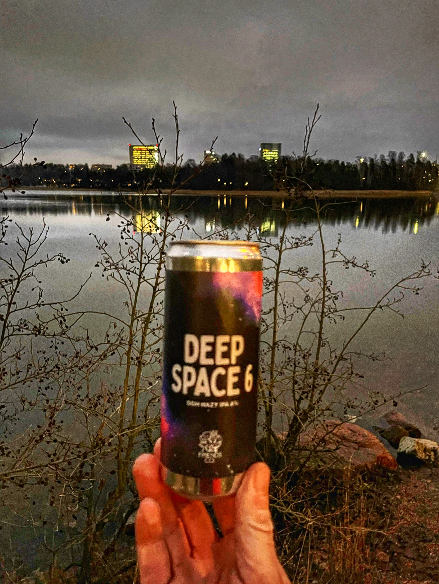 Deep space 6, Friends Company