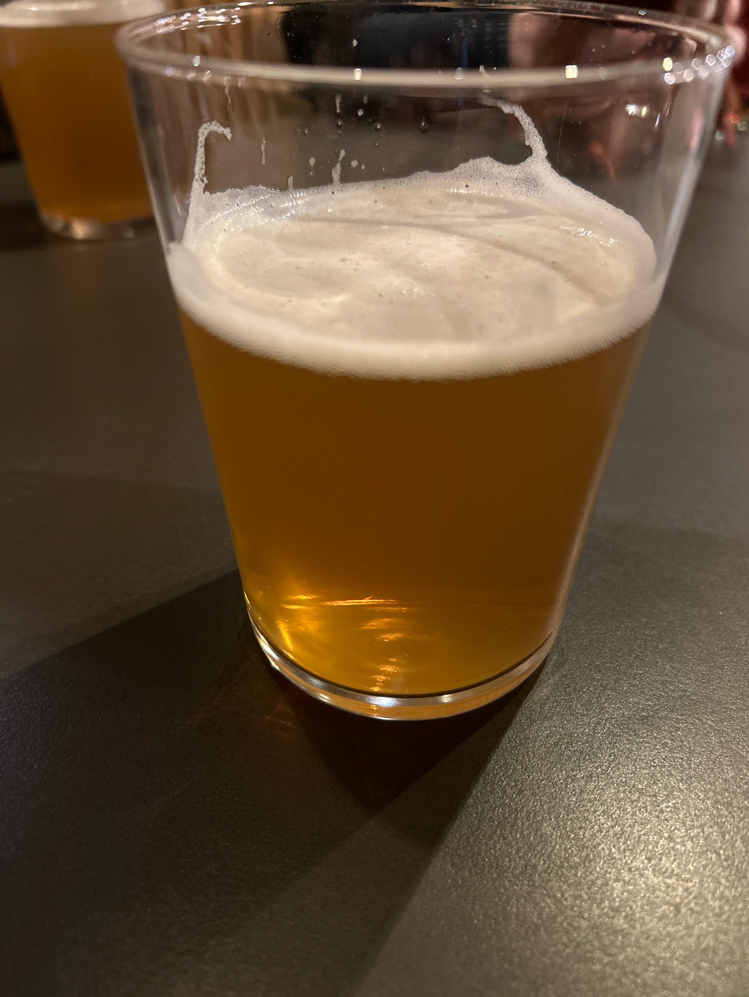 The Stonewall Inn IPA, United States