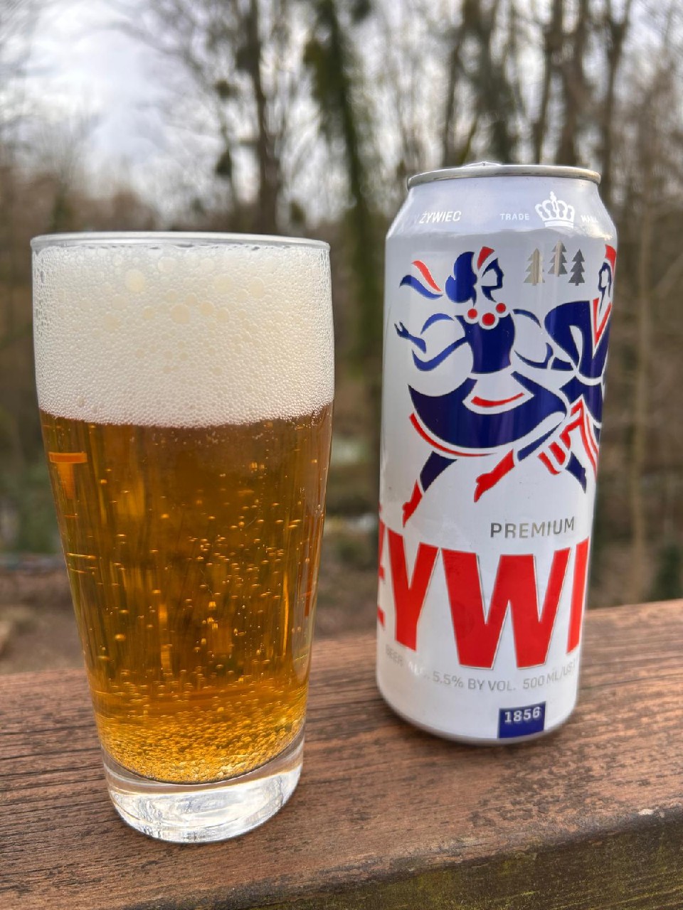 Żywiec, Grupa Żywiec (Heineken)