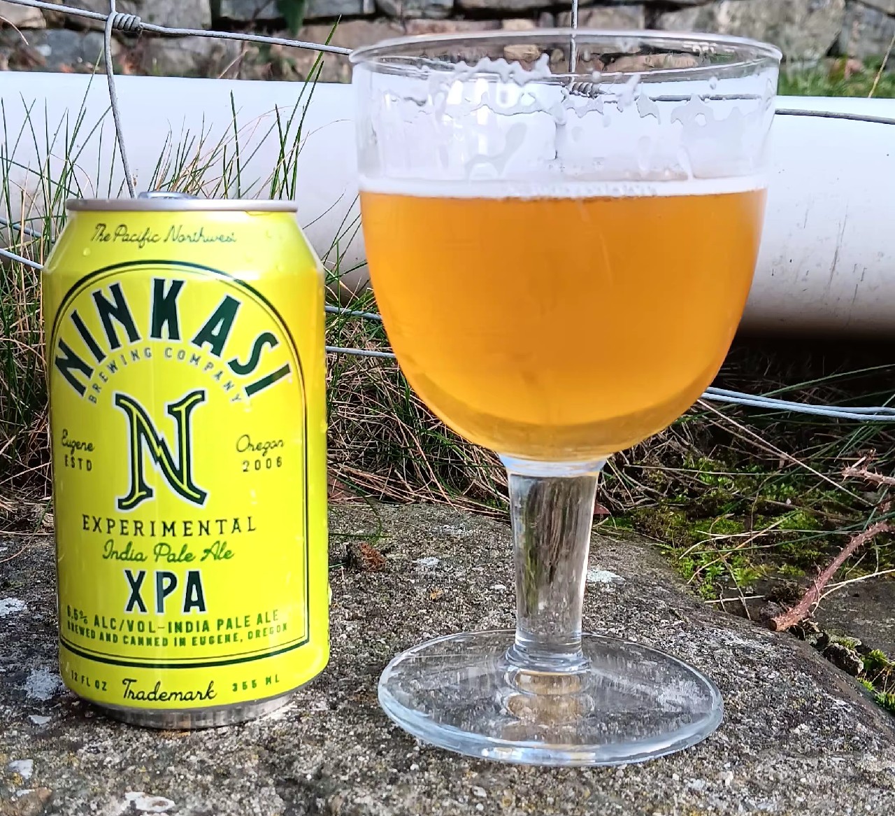 xpa, Ninkasi Brewing Company