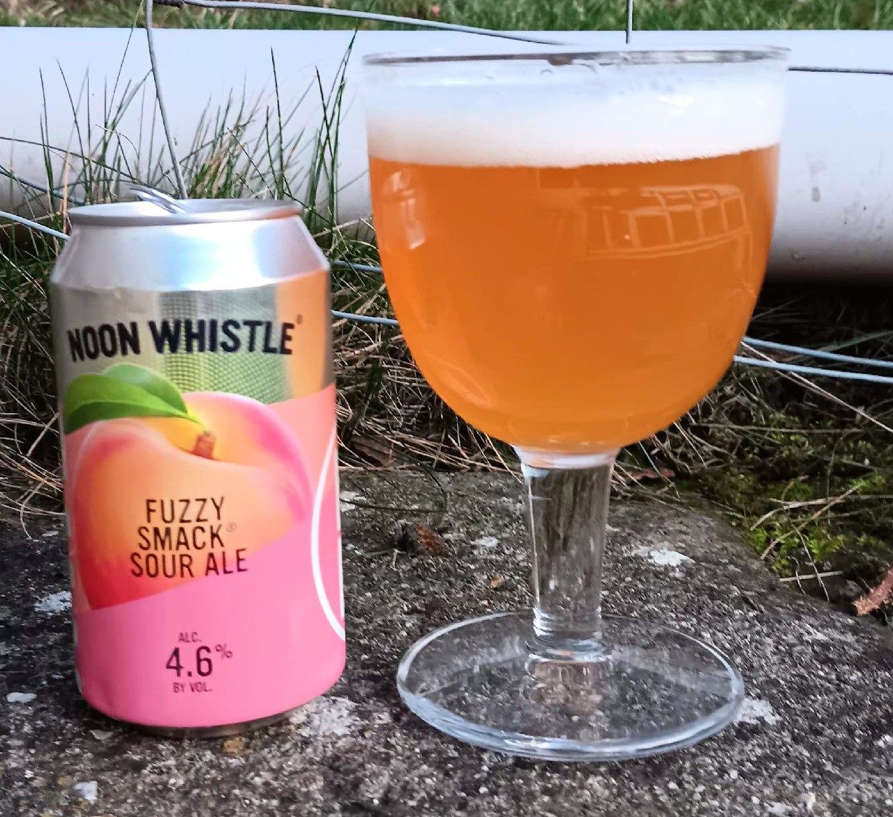 Fuzzy Smack Sour Ale, Noon Whistle Brewing