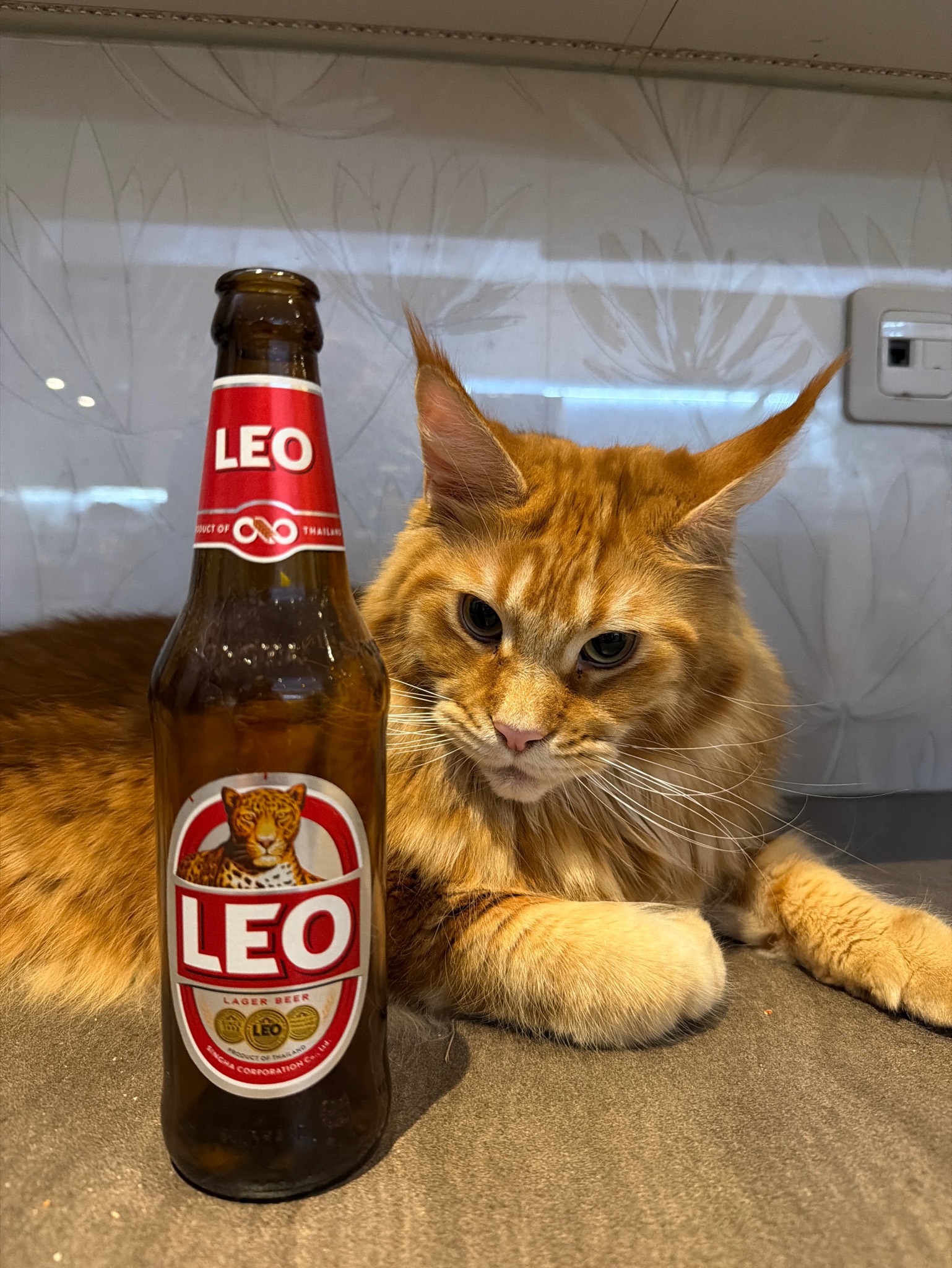 Leo, Boon Rawd Brewery