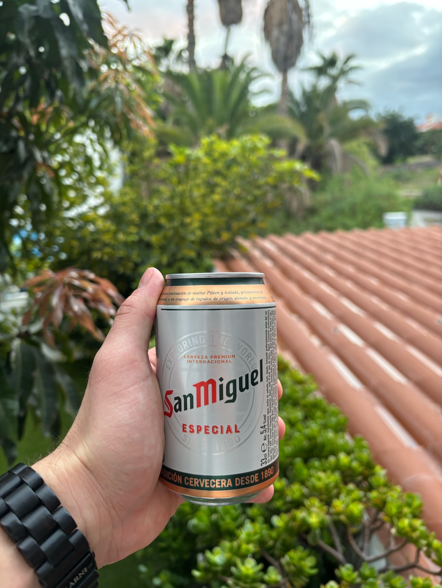 San Miguel Especial, San Miguel Spain (Grupo Mahou-San Miguel)