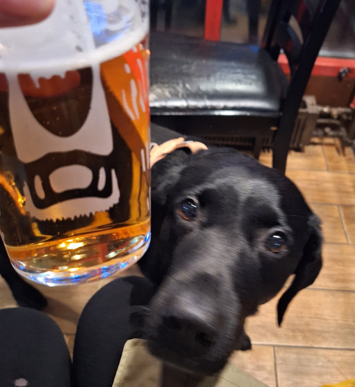 Karhu 4,6% / III, Finland