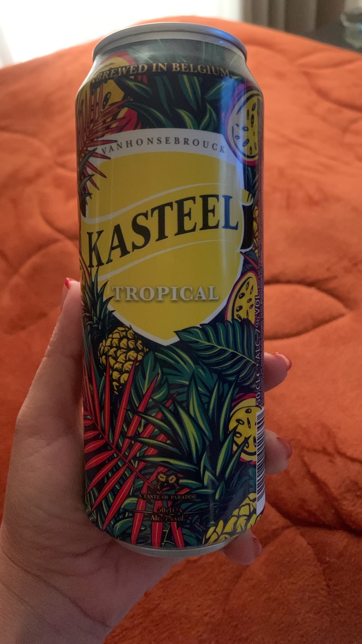 Kasteel Tropical, Kasteel Brouwerij Vanhonsebrouck