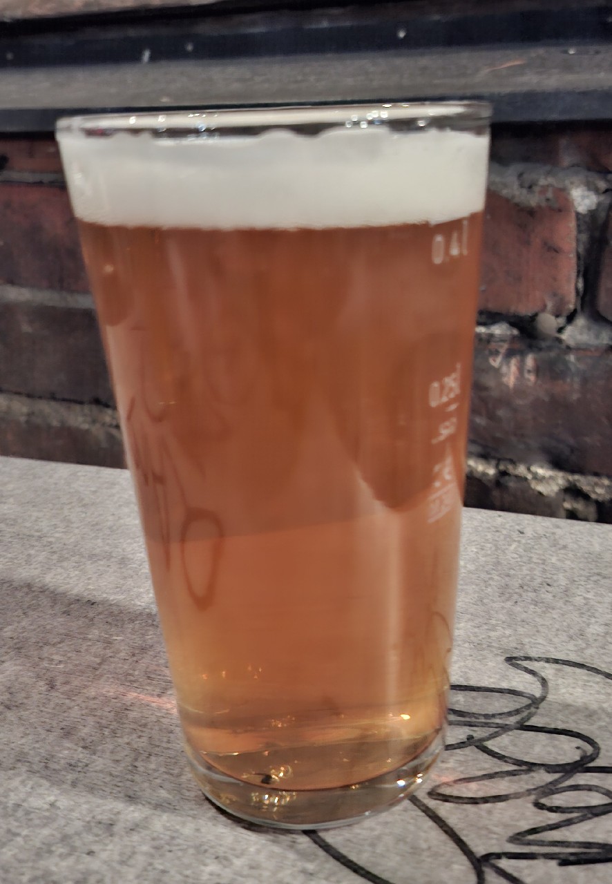 Beerliament Drunkadelic, Finland