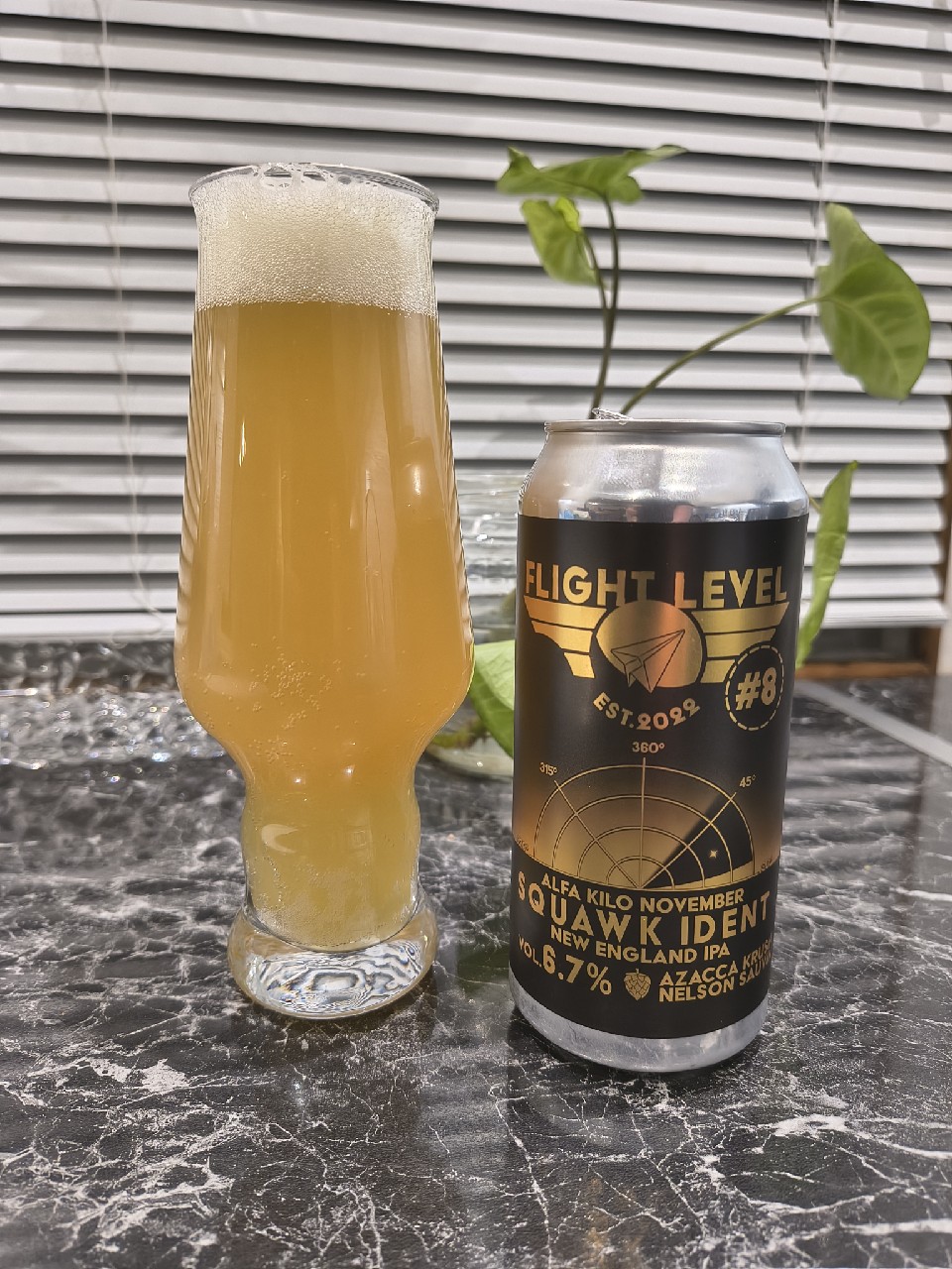 Alfa Kilo November Squawk Ident #8, Finland