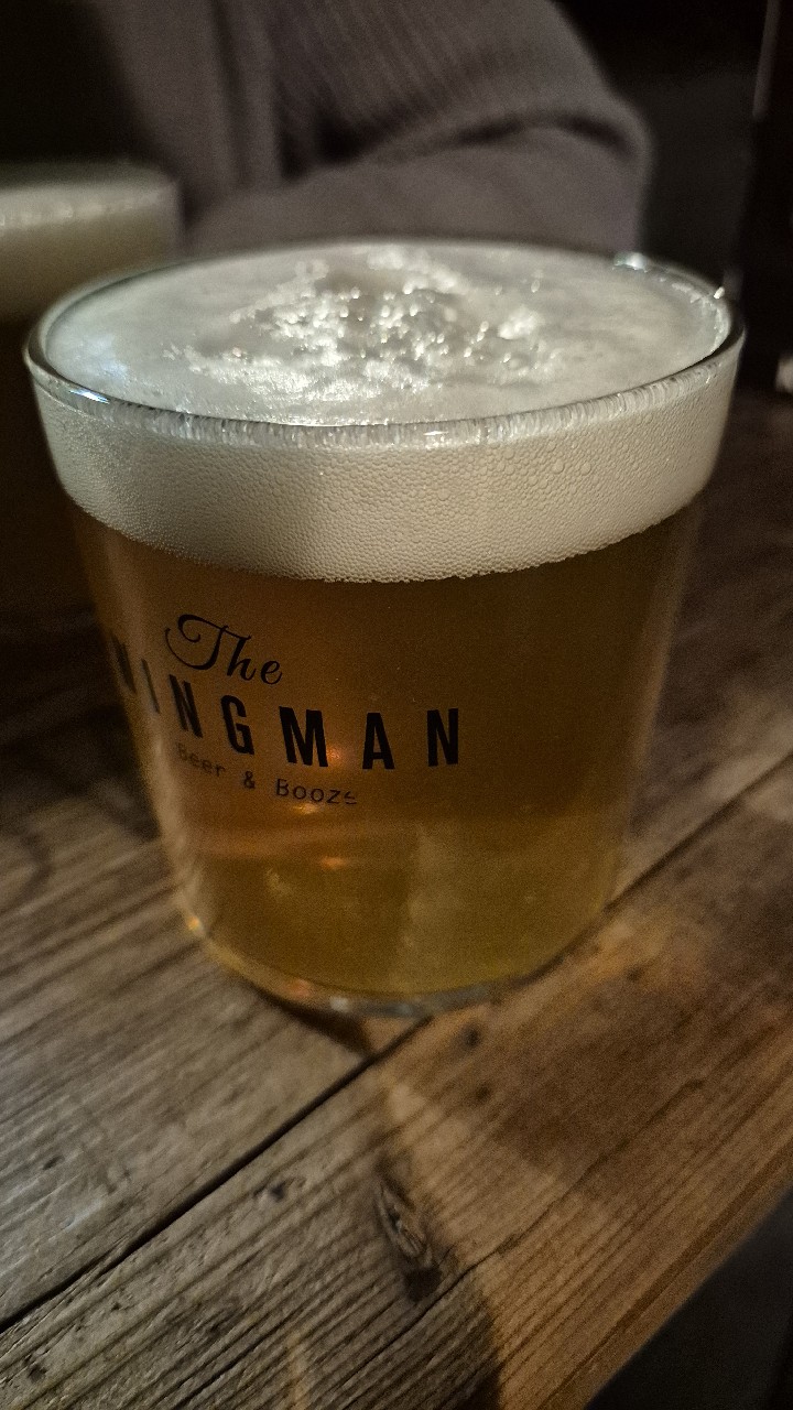 Lost in Transit, Blech.Brut