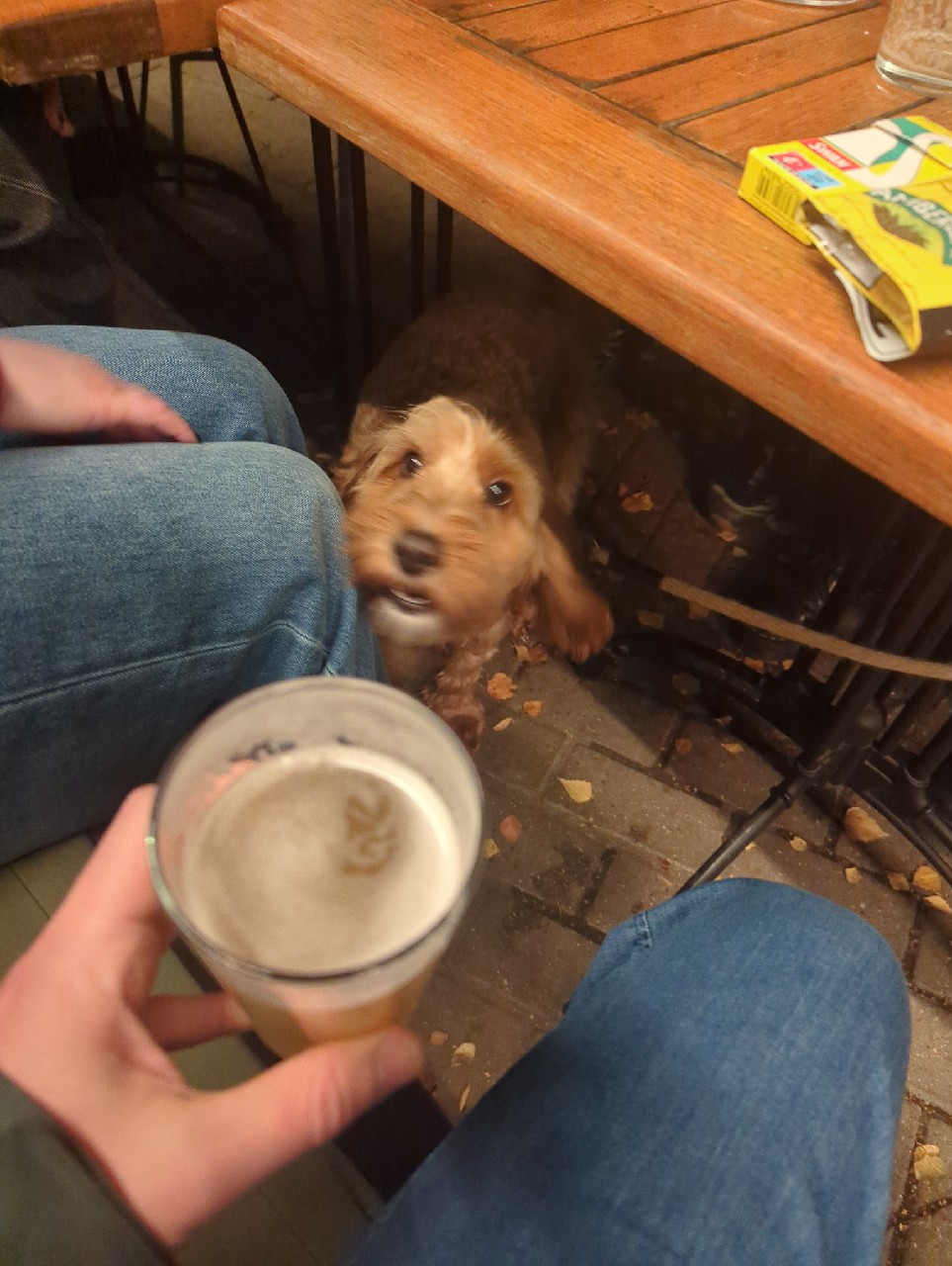 Neon Drift, Tiny Rebel Brewing