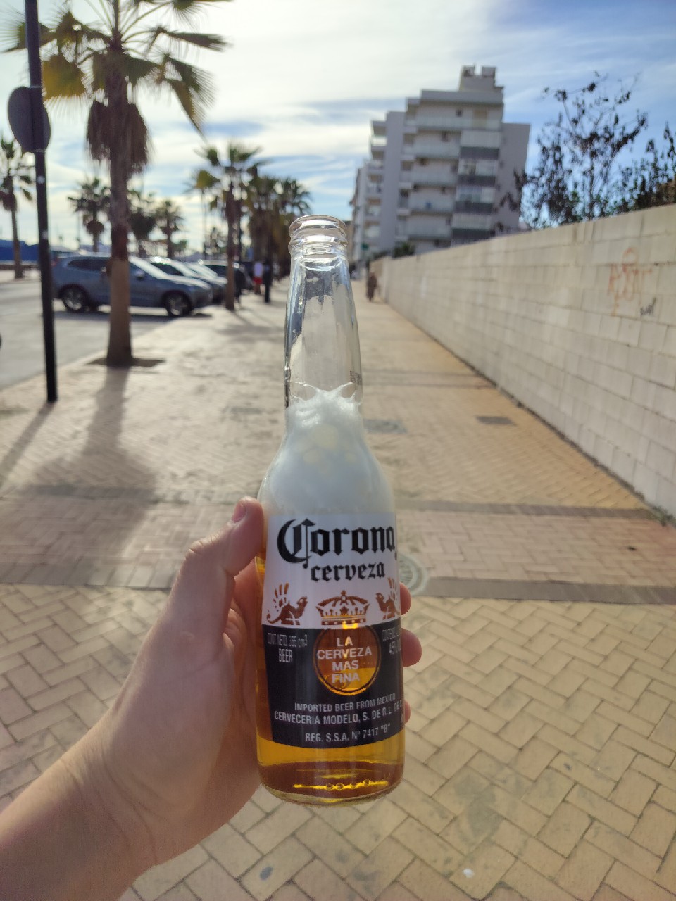 Corona Extra, Grupo Modelo (ABInBev)
