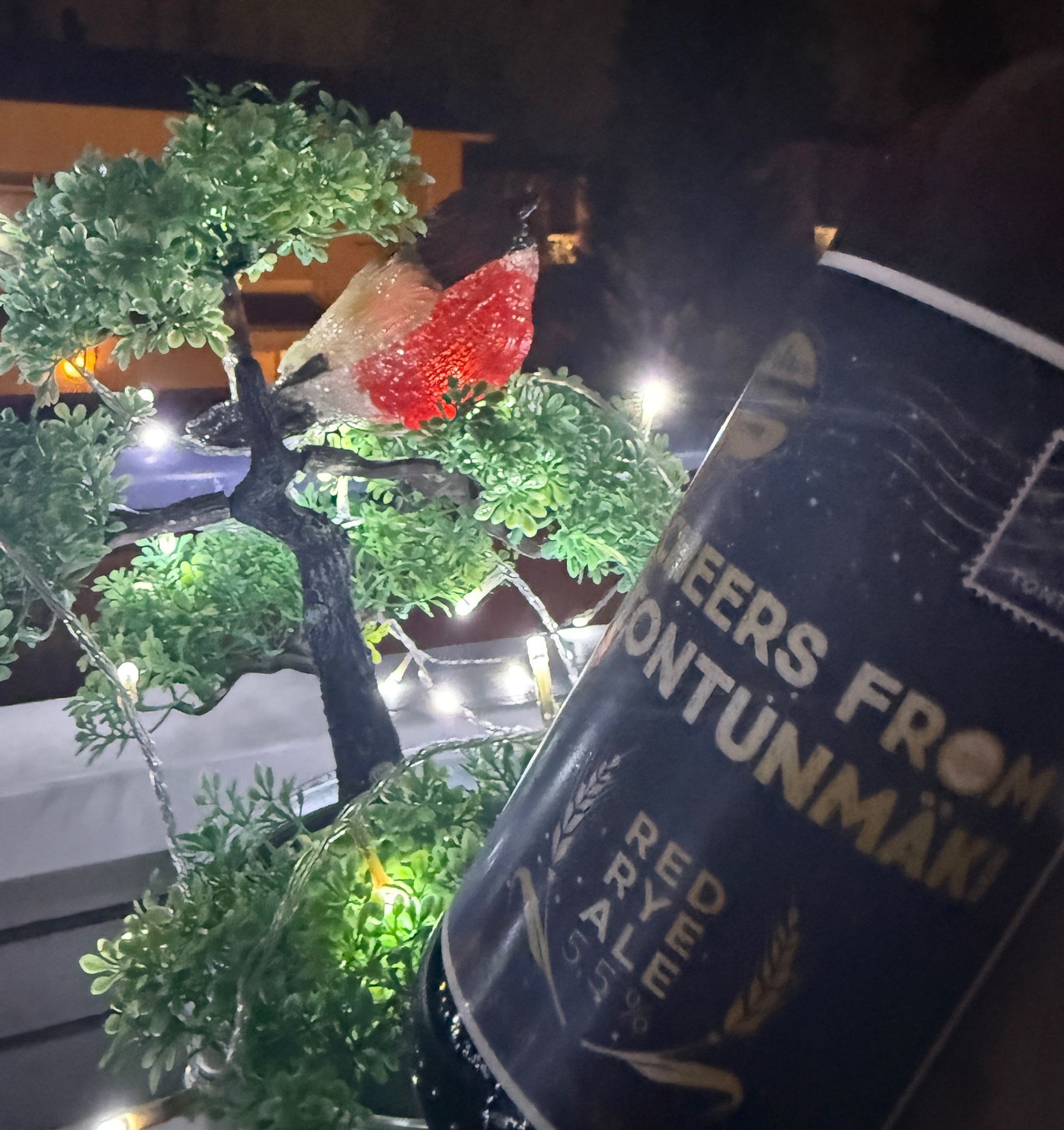 Cheers From Saarijärvi, Finland