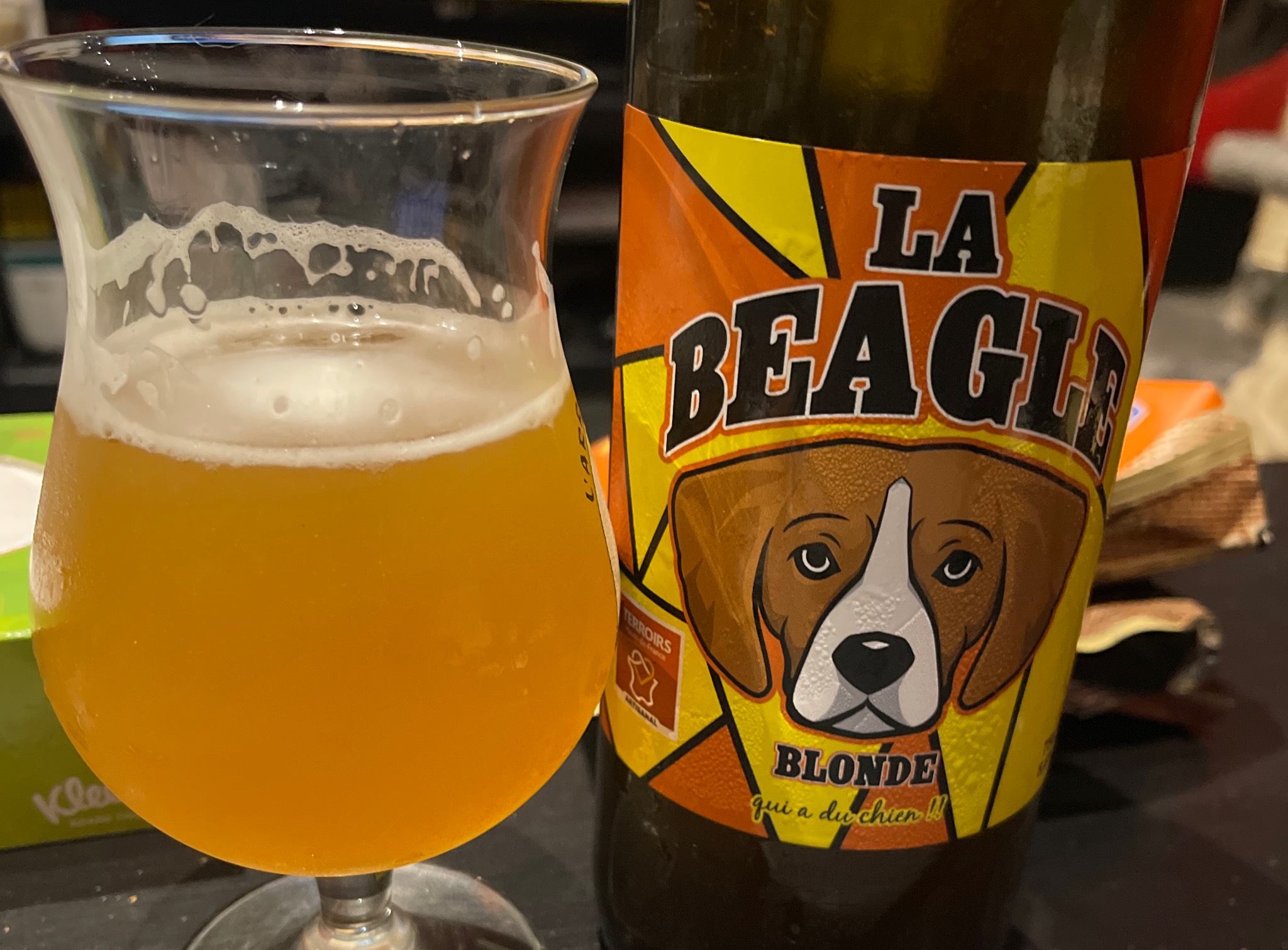 La Beagle Blonde, France