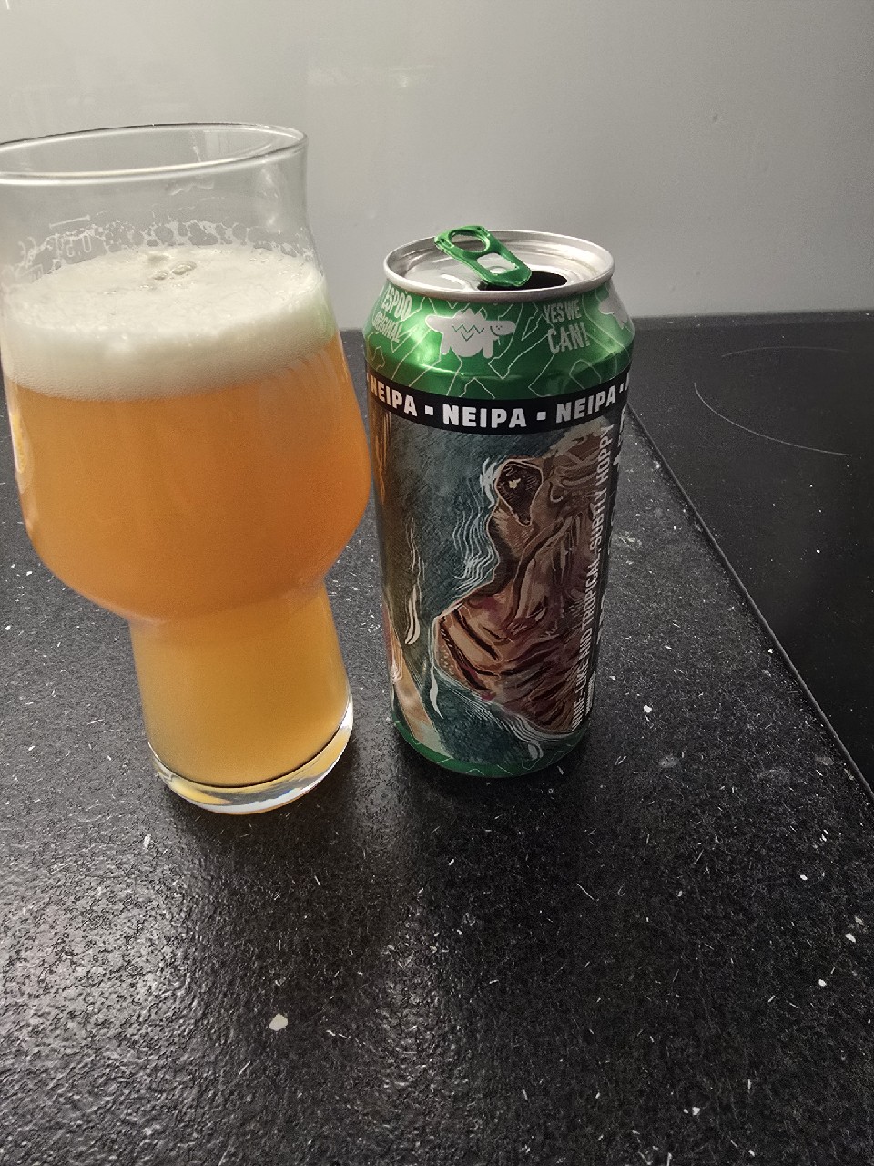 Fat Lab 89, Fat Lizard Brewing Co.