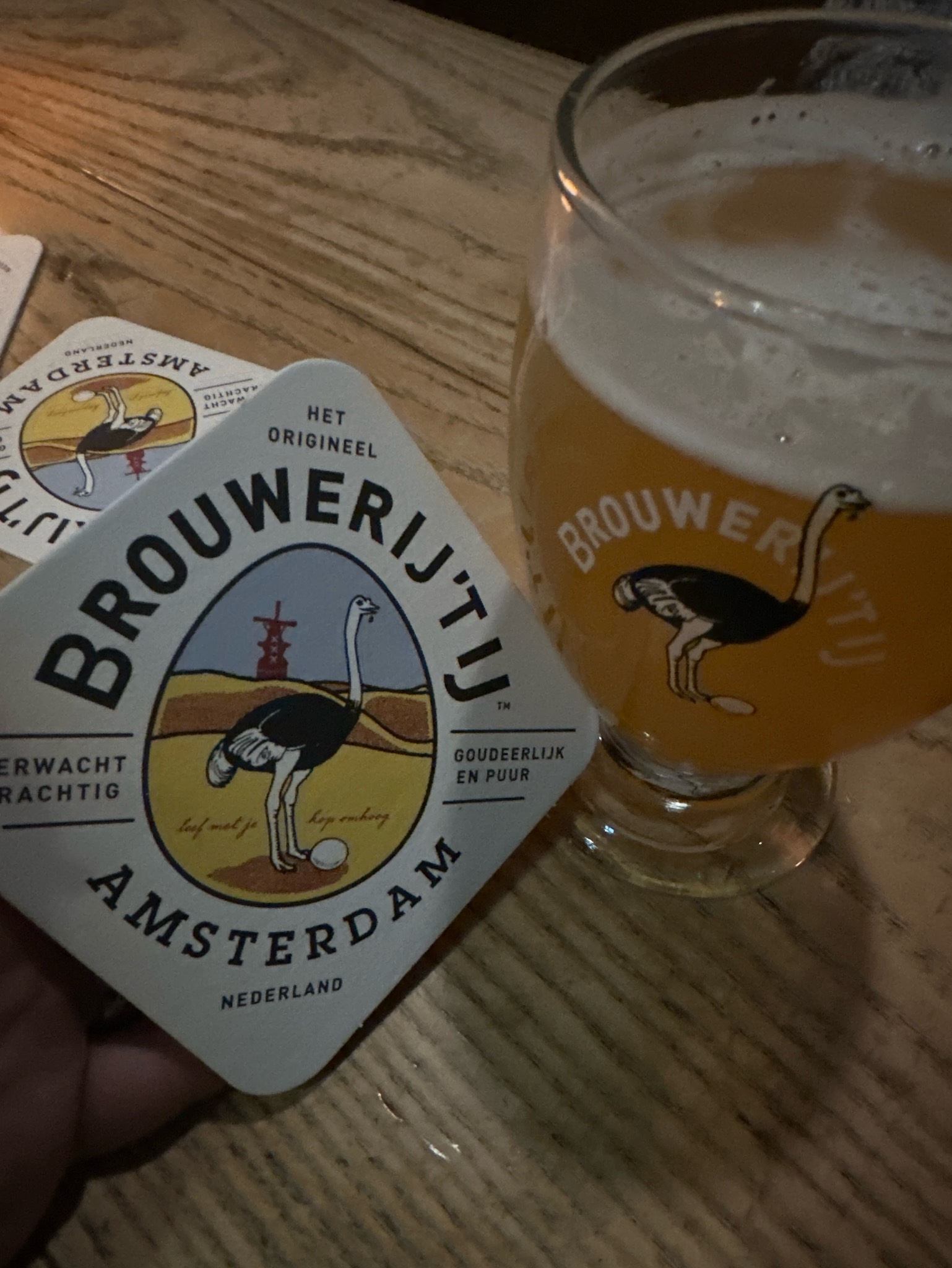 Brouwerij'tij N!jpa, Brouwerij 't IJ
