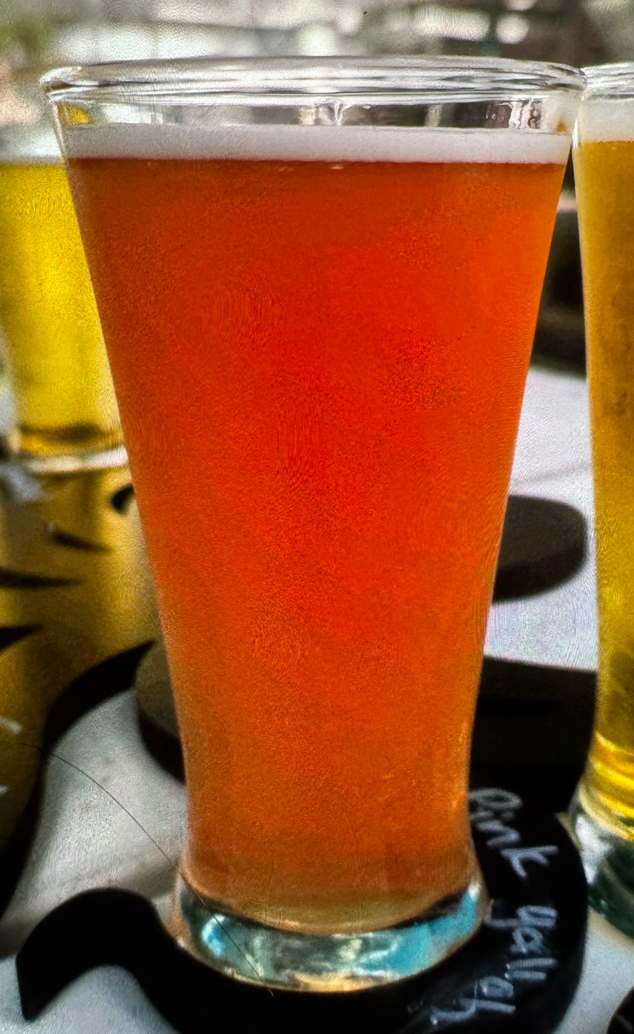 Pink Galah, Australia