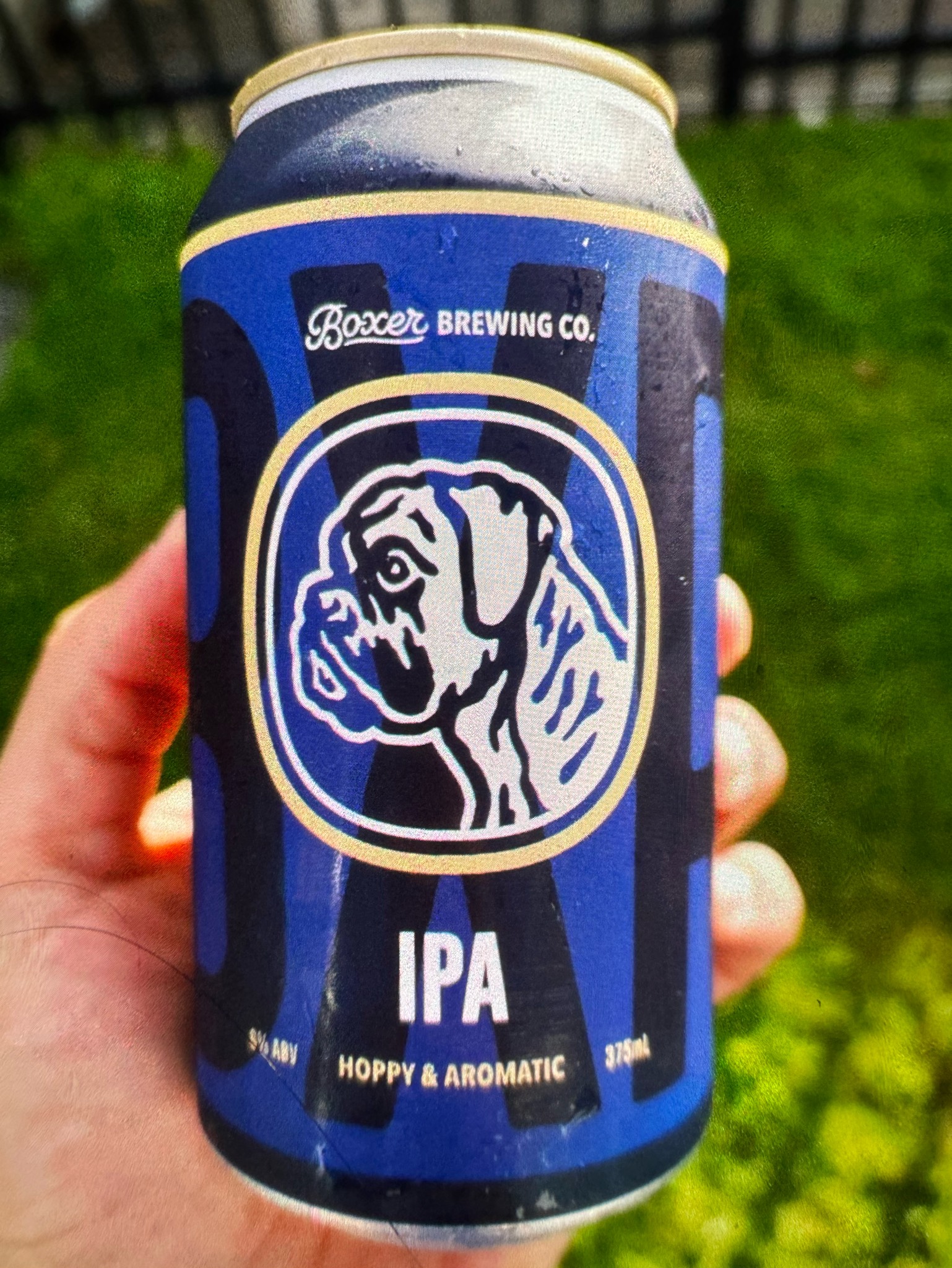 IPA, Boxer Brewing Co.