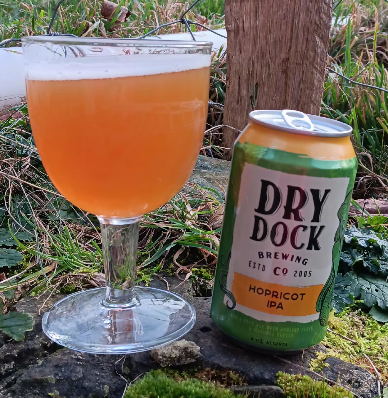 Hopricot IPA, Dry Dock Brewing Company