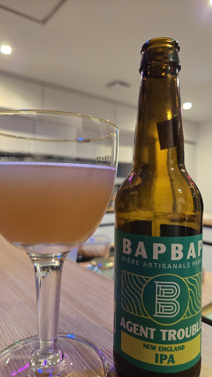 Agent Trouble, France