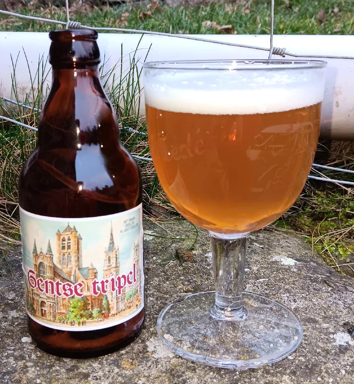 Gentse Tripel, Belgium