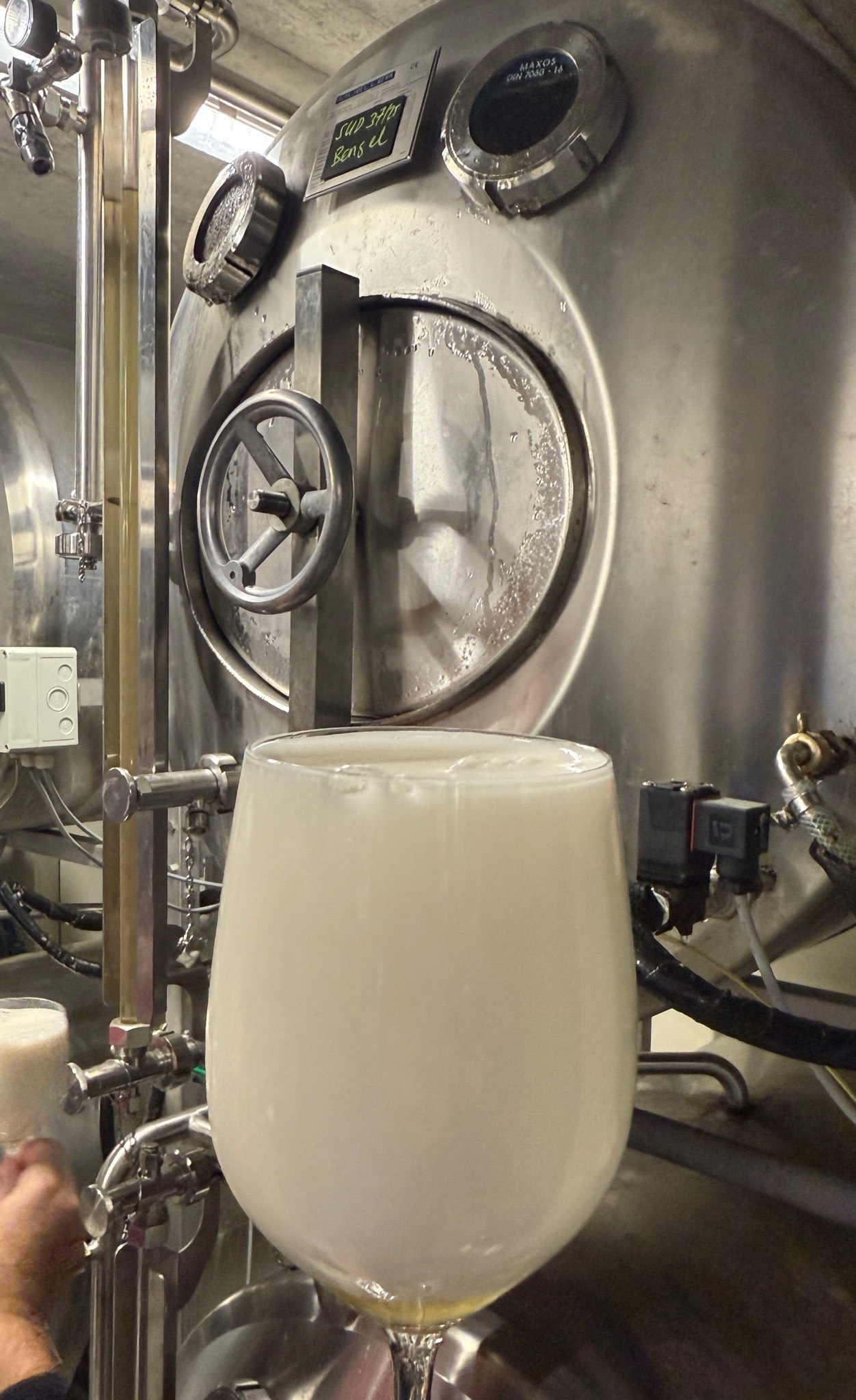 Bengel, Stadtmauer Brauer