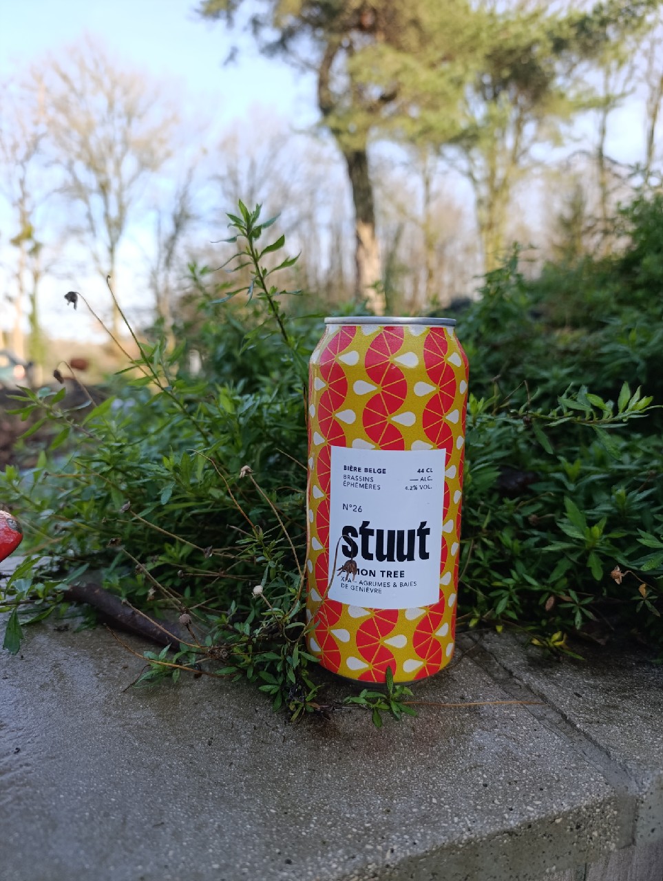 Stuut N°26, Belgium