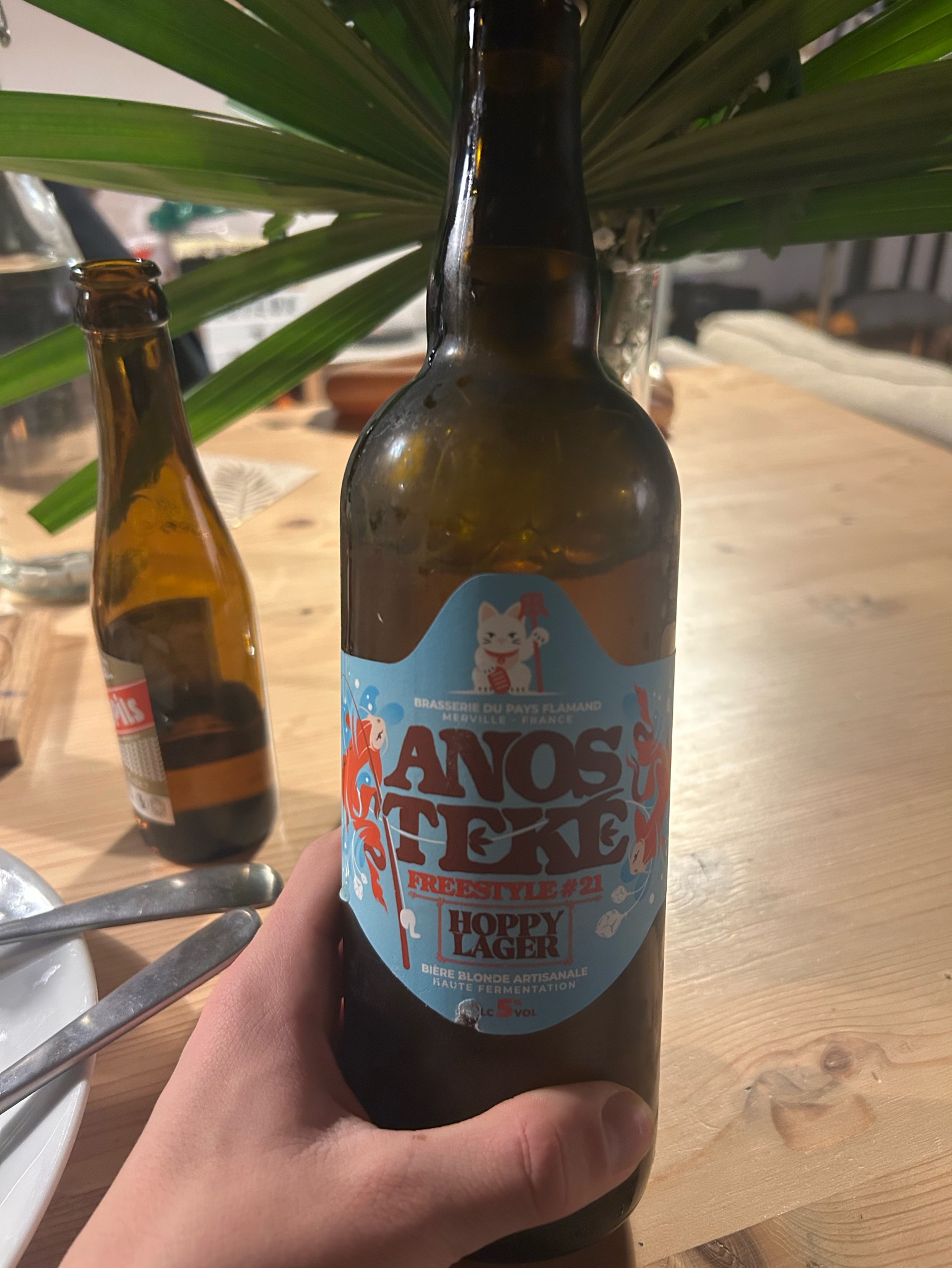 Anosteké Freestyle #20 IPA Simcoe, France