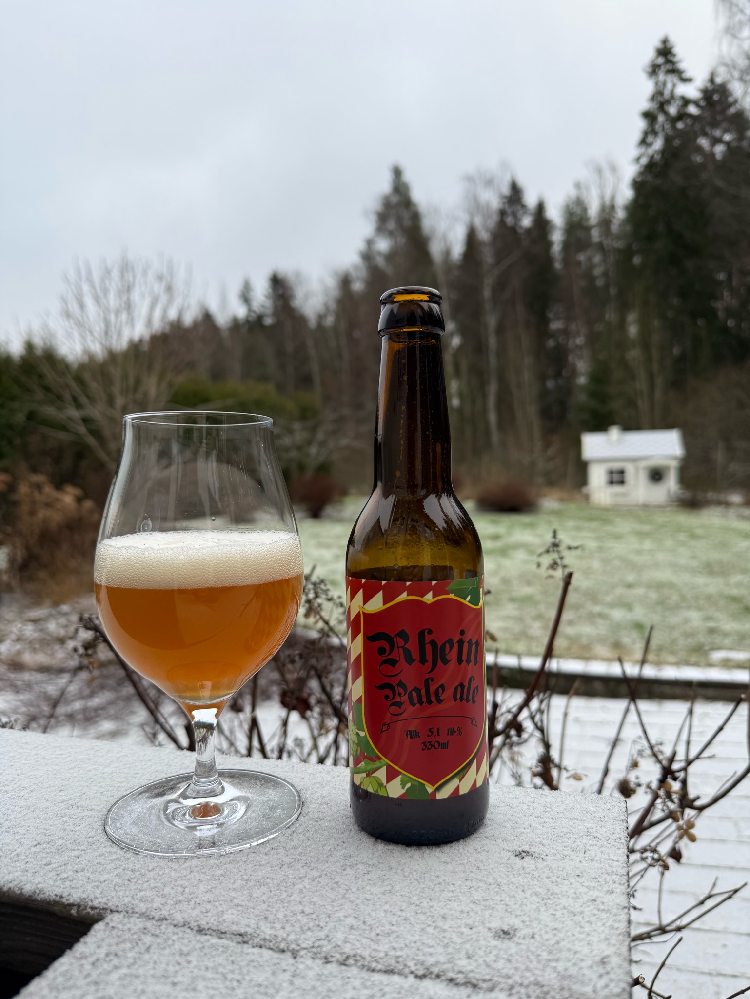 Rhein pale ale, Panimoyhtiö X
