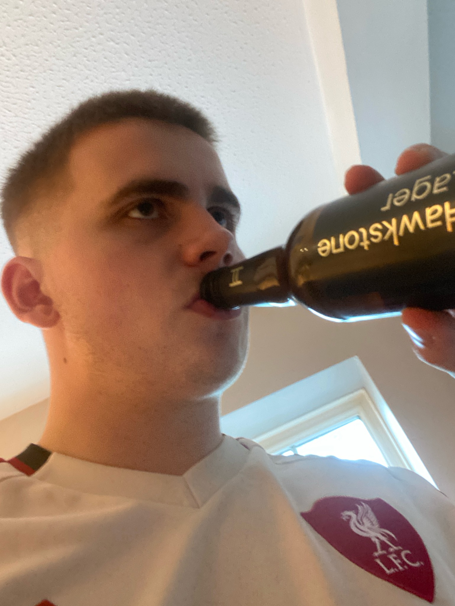 Hawkstone Lager, Hawkstone