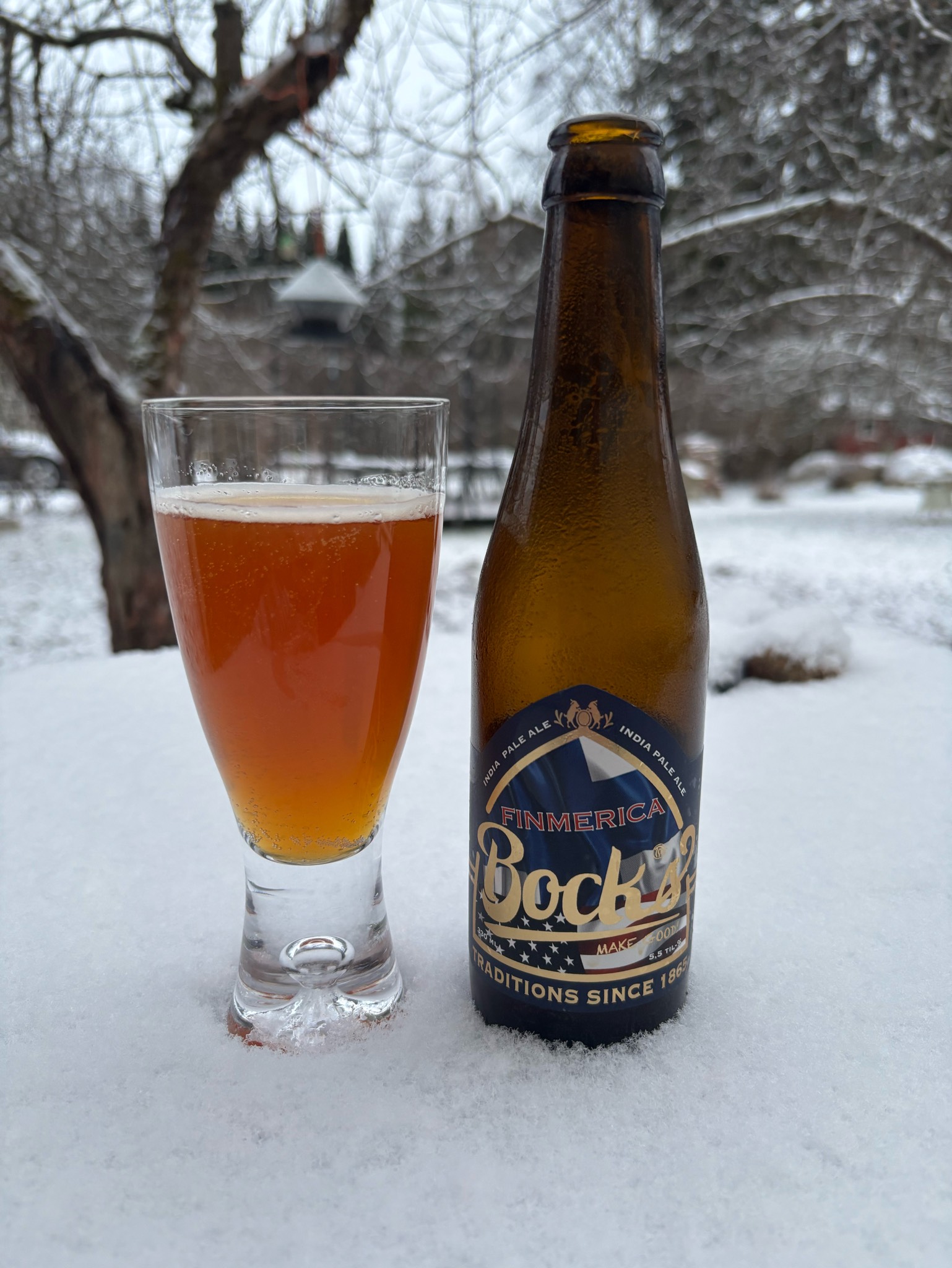 Finmerica IPA, Finland