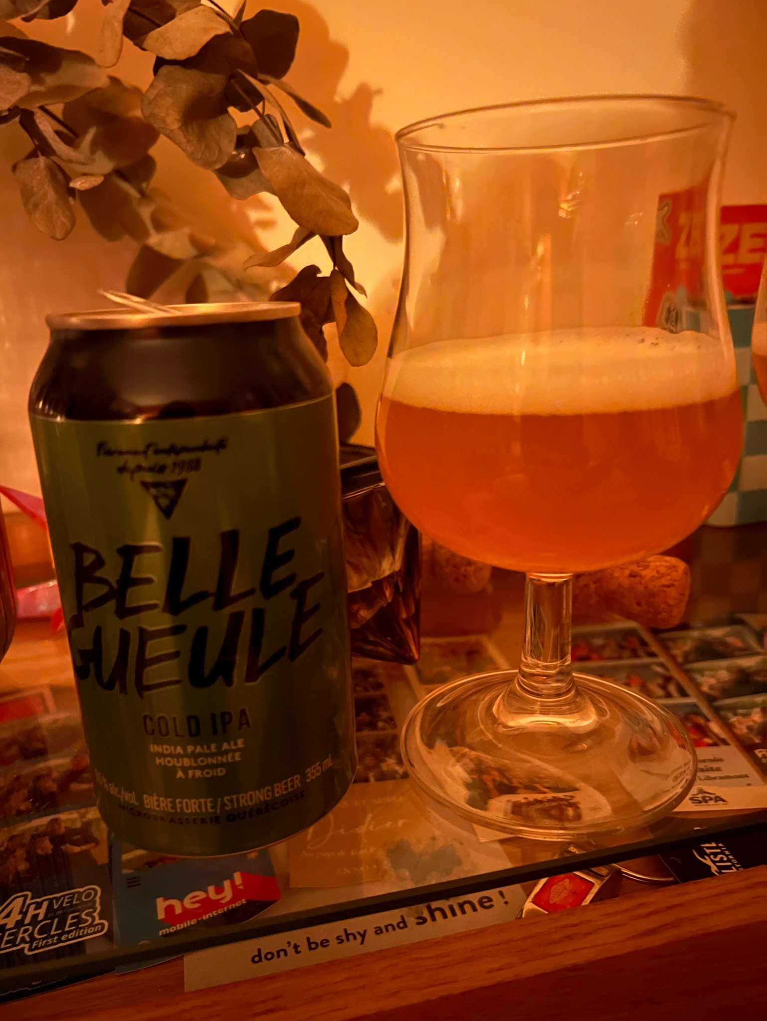 Belle Gueule Cold IPA, Les brasseurs RJ