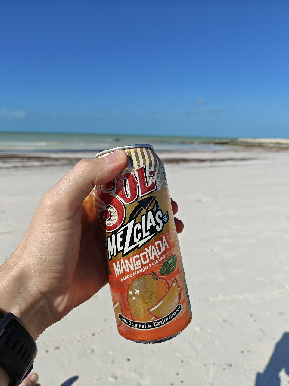 Sol Mezclas Mangoyada, Cervecería Cuauhtémoc Moctezuma S.A. de C.V