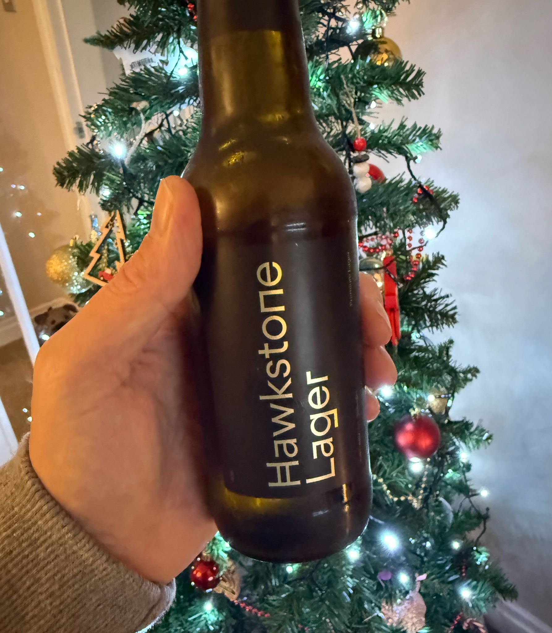 Hawkstone Lager, England