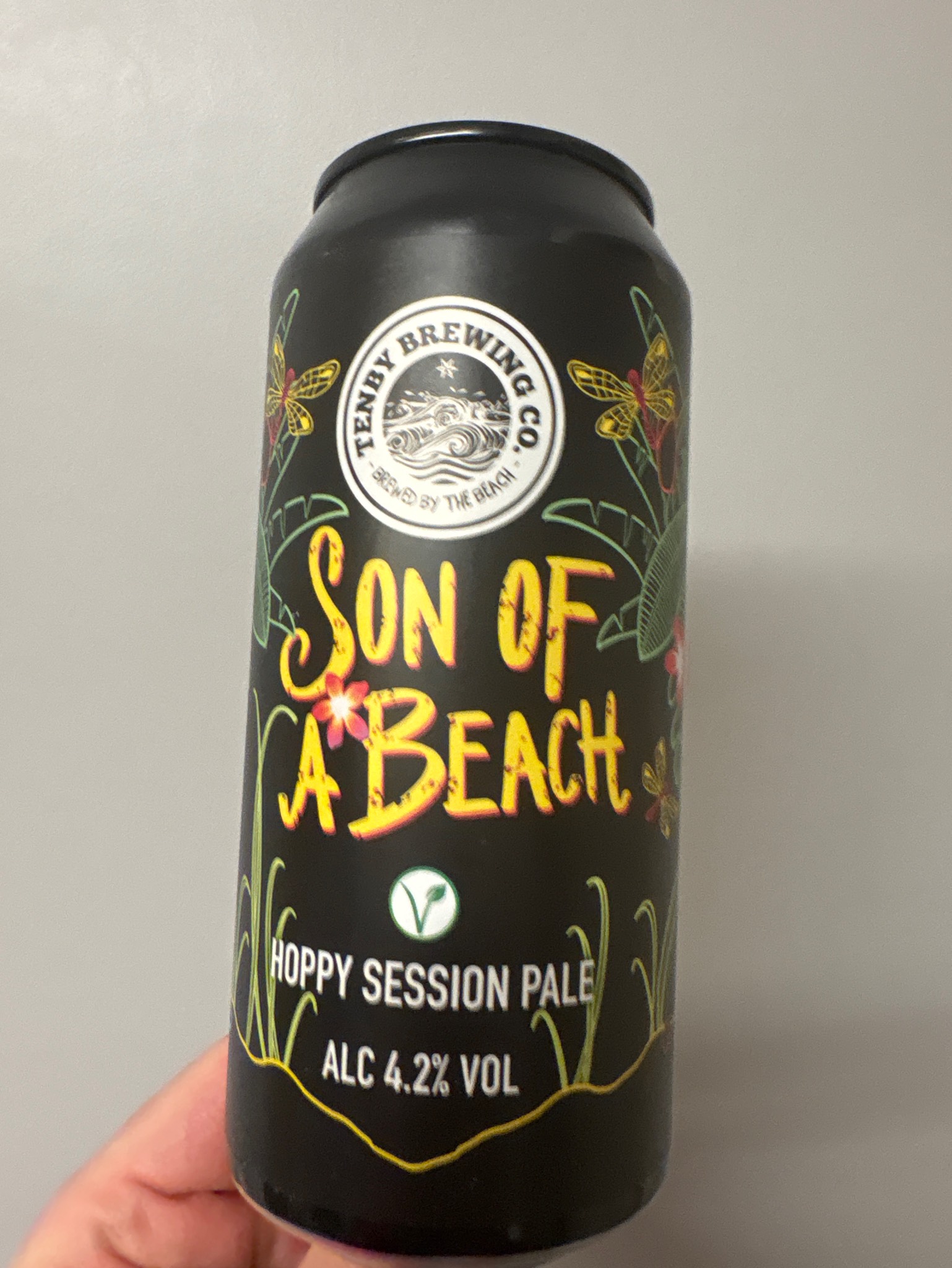 Son of A Beach, Wales