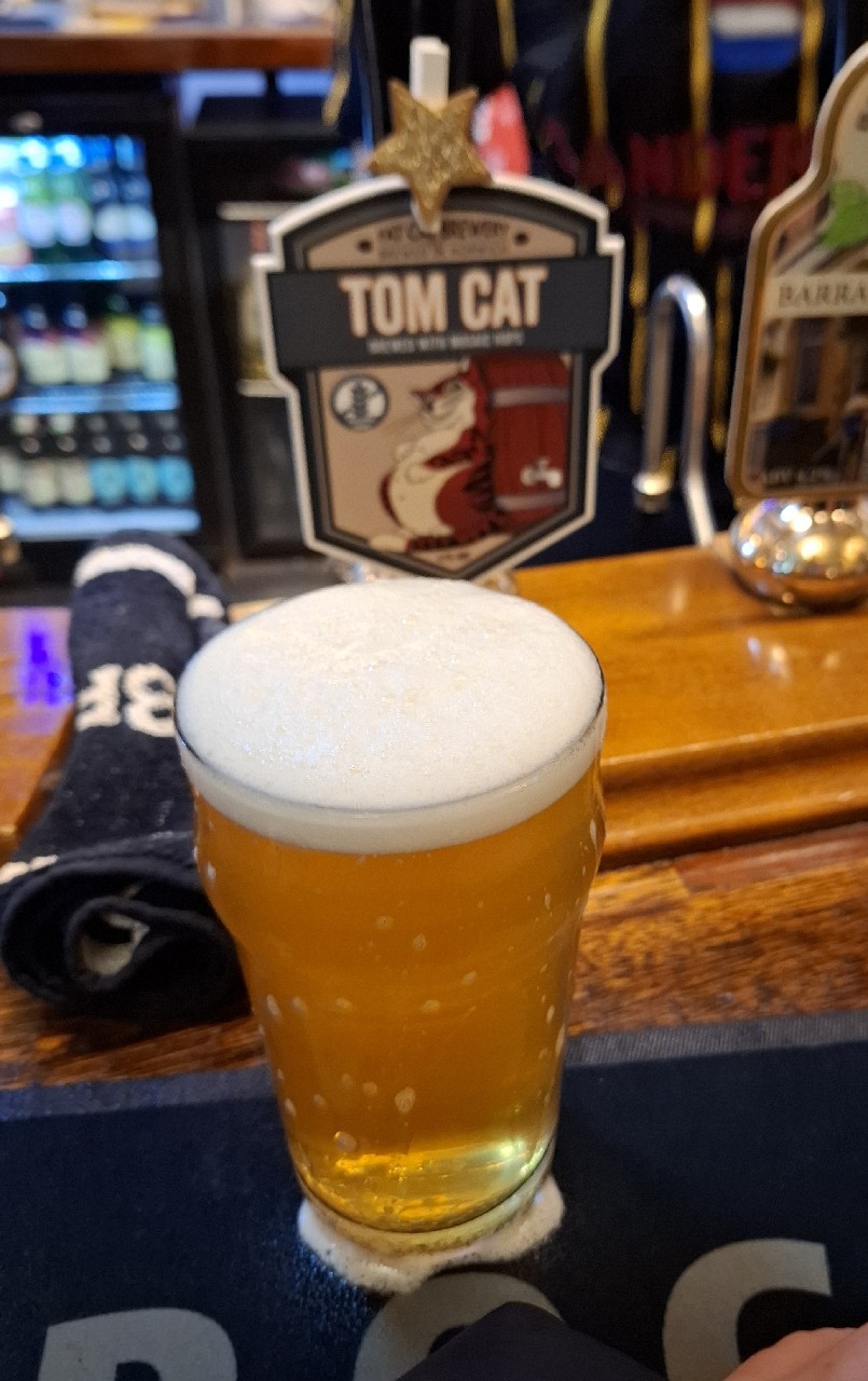 Tom Cat, Fat Cat Brewing Company