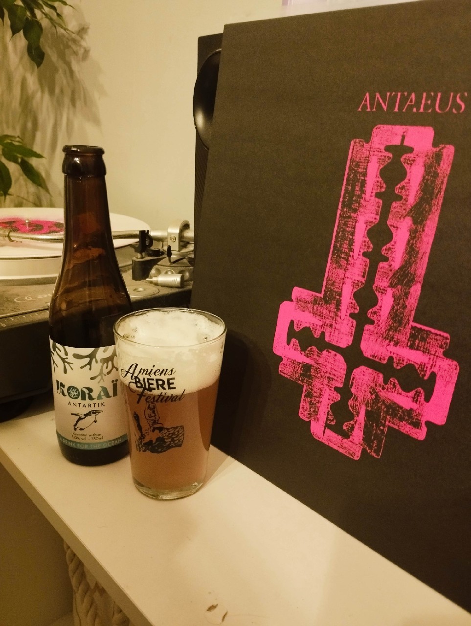 Antartik, Koraï Beer