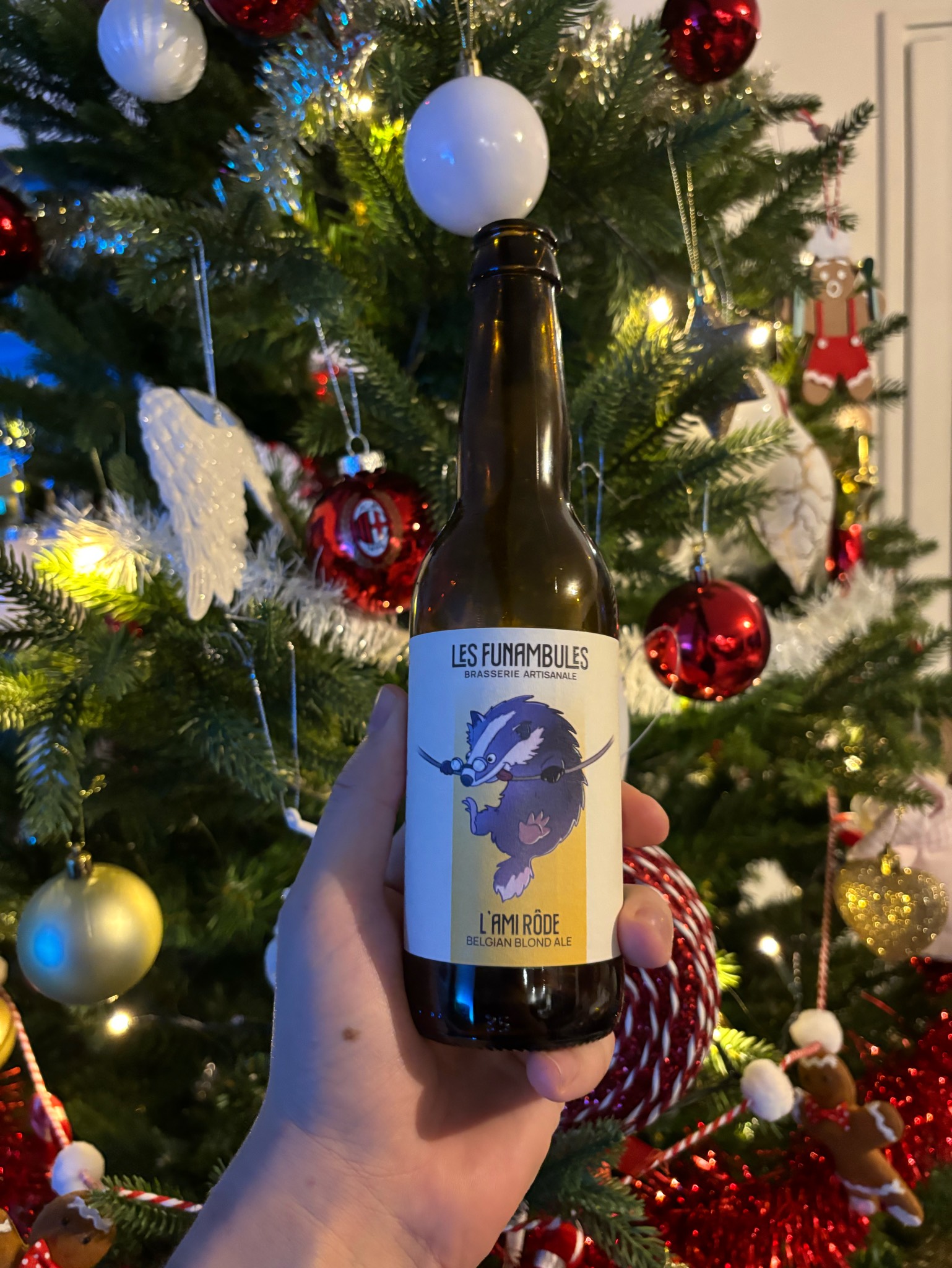 L'Amie Rôde, France